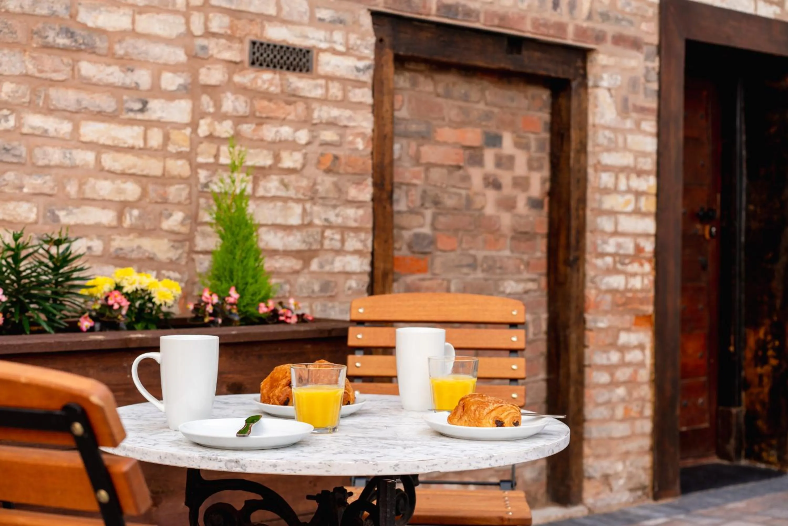 Garden in Old Infirmary