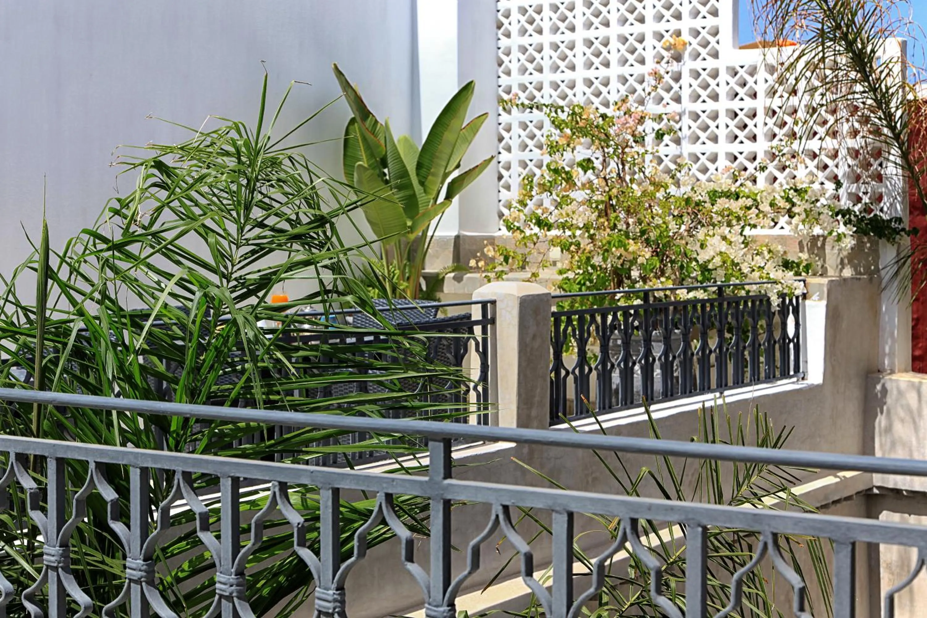 Patio in Riad Dar Zen