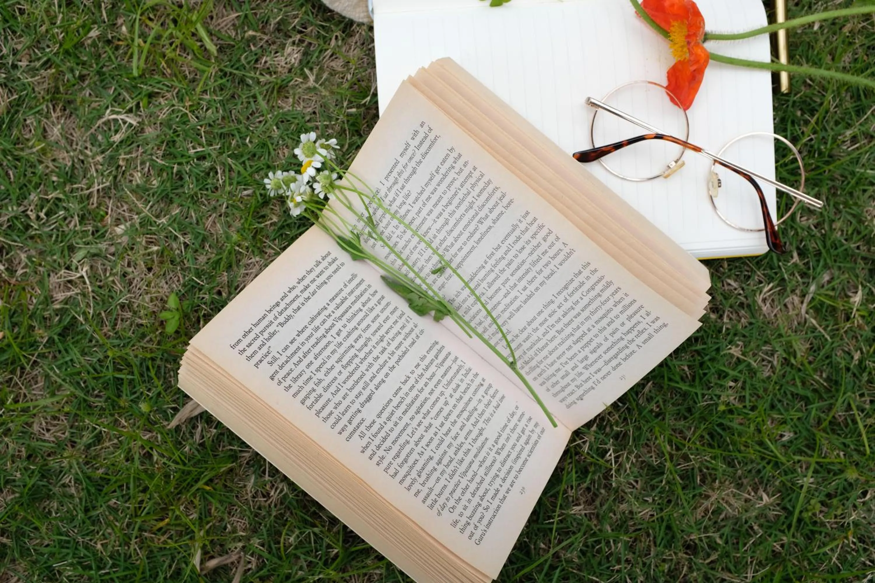 Garden in Ascott IFC Guangzhou - Free Shuttle Bus For Canton Fair