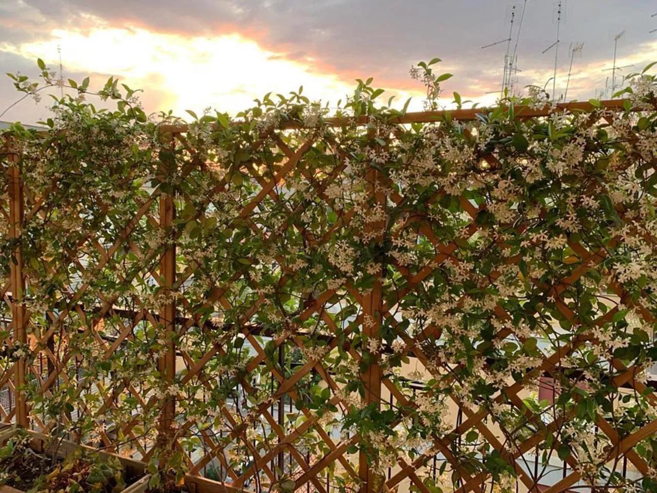 Sunset in In Terrazza Da Giusy