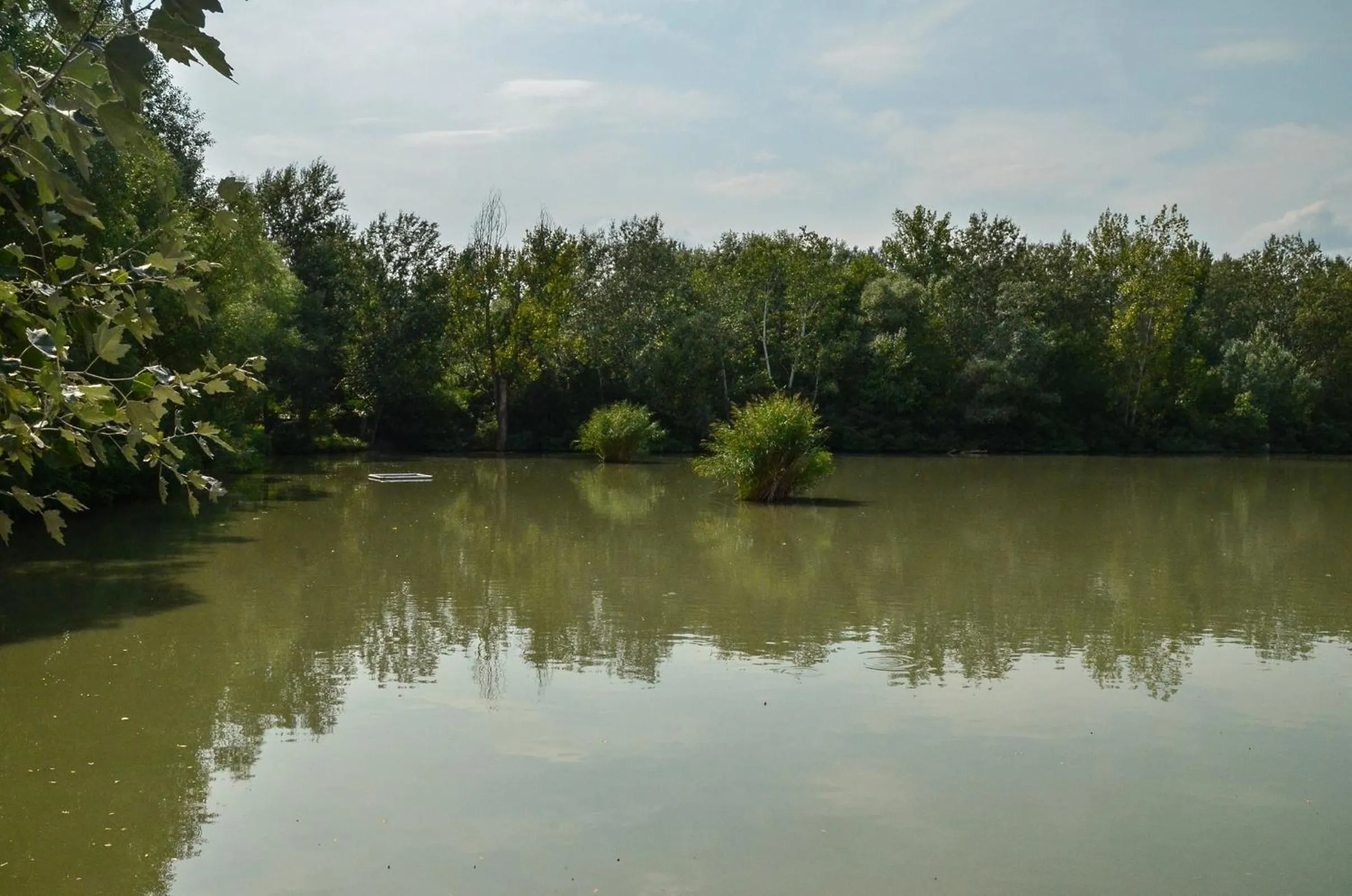 Fishing in Antal-tavi Fogadó és Horgászparadicsom