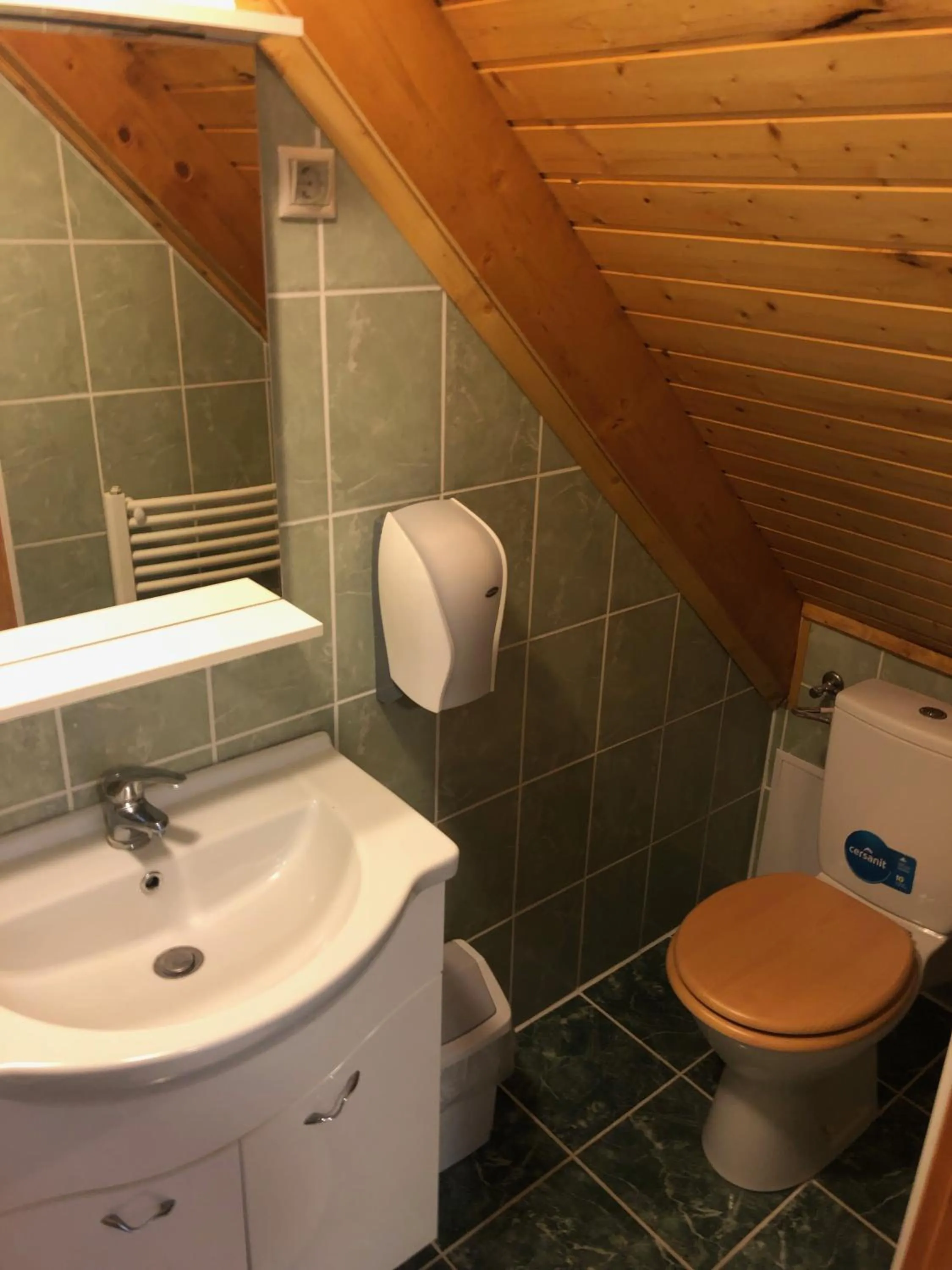 Bathroom in Antal-tavi Fogadó és Horgászparadicsom