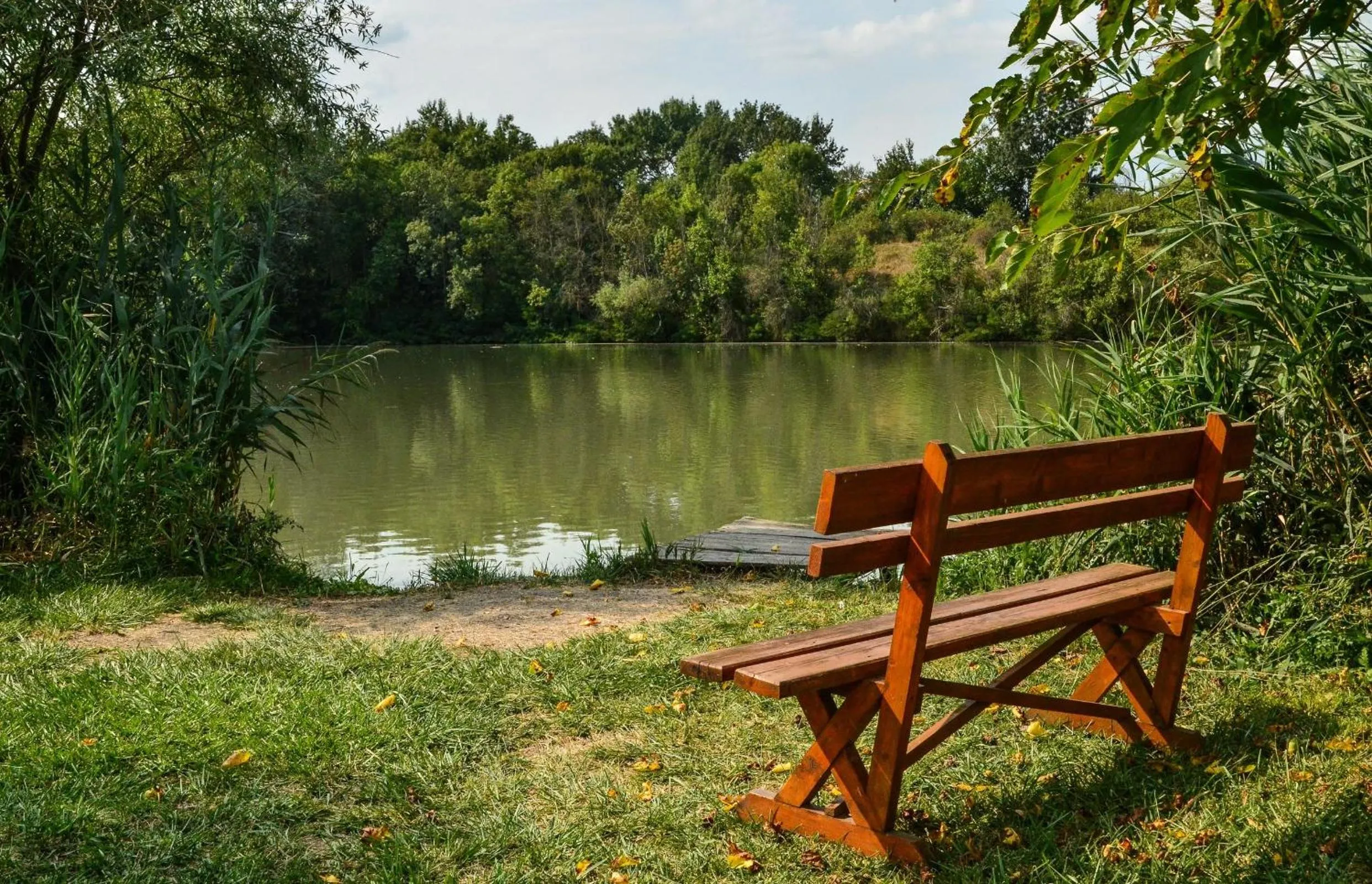 Fishing in Antal-tavi Fogadó és Horgászparadicsom