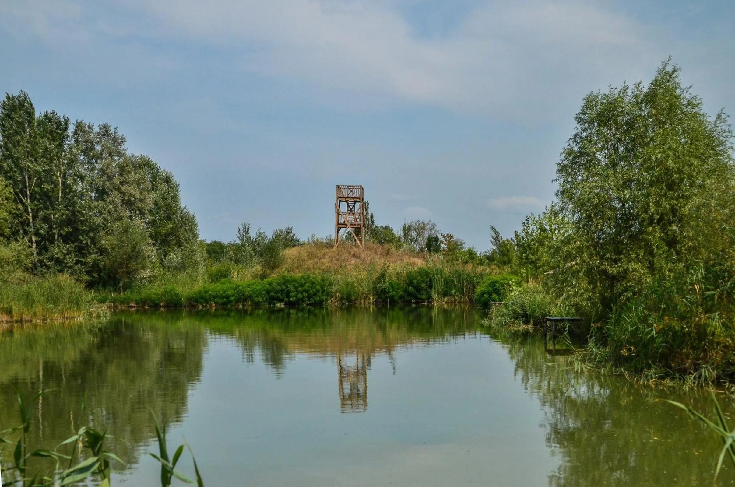 Fishing in Antal-tavi Fogadó és Horgászparadicsom