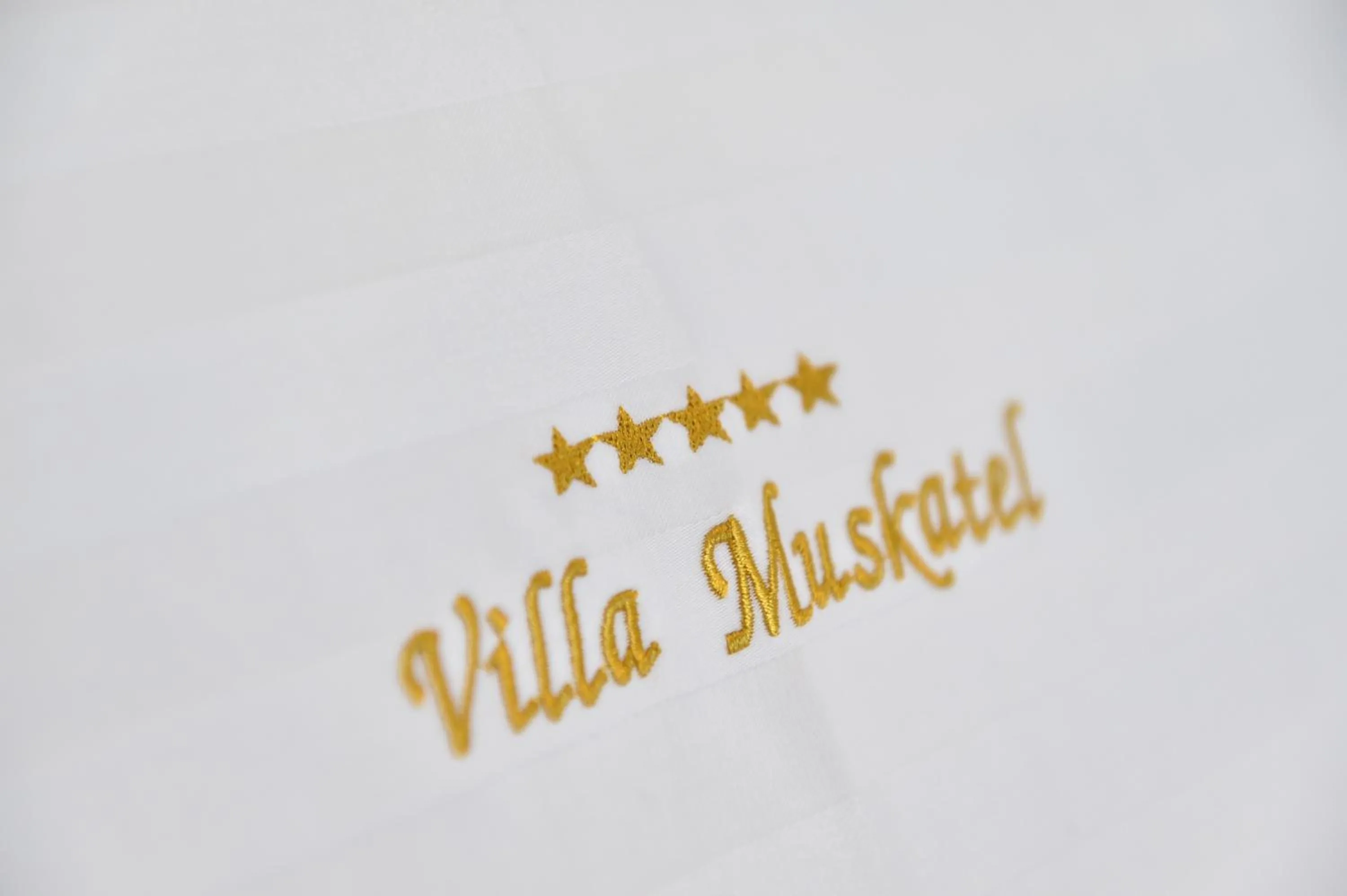 Property logo or sign in Villa Muskatel KRK -with heated covered pool