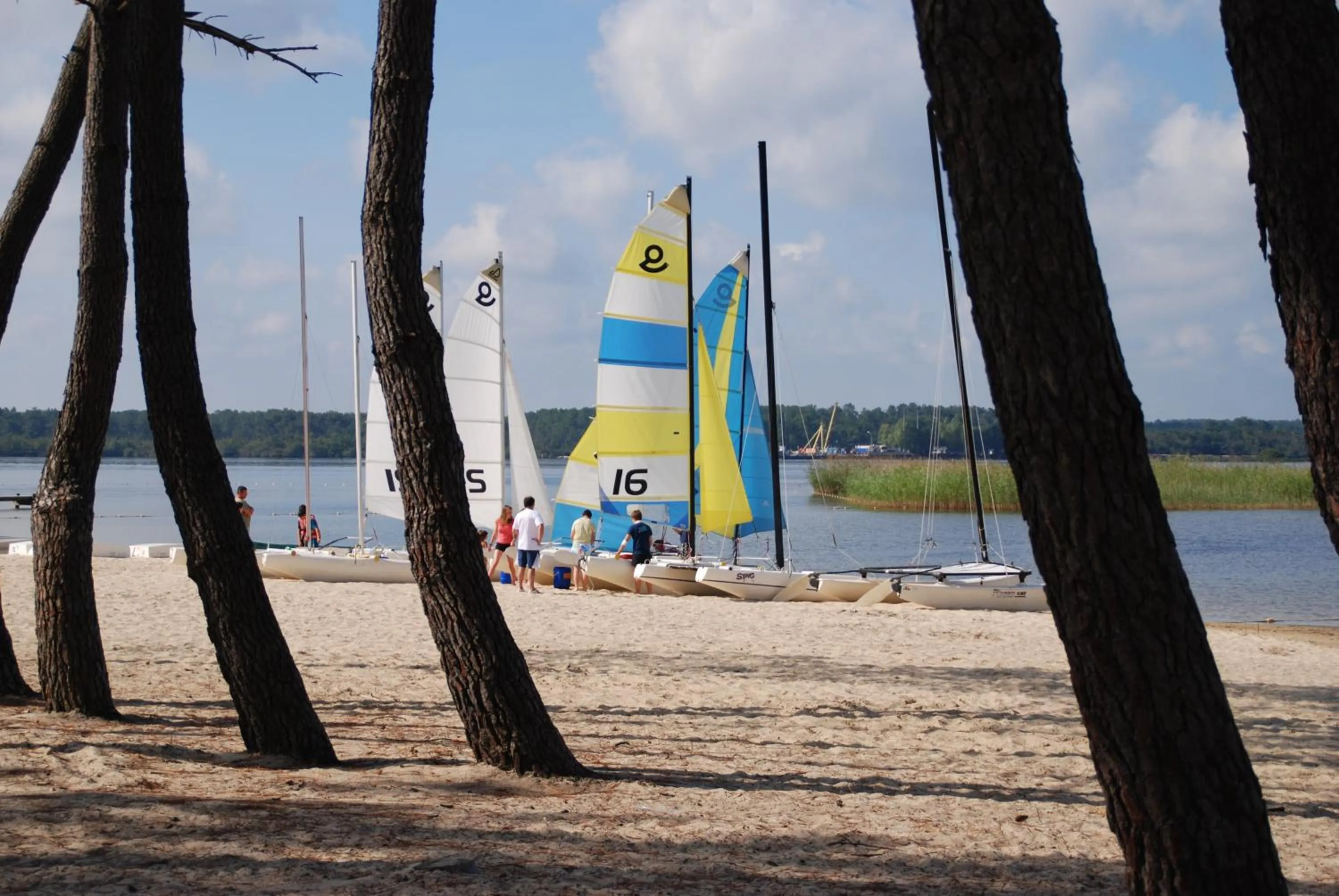 Area and facilities in Les Cottages Du Lac