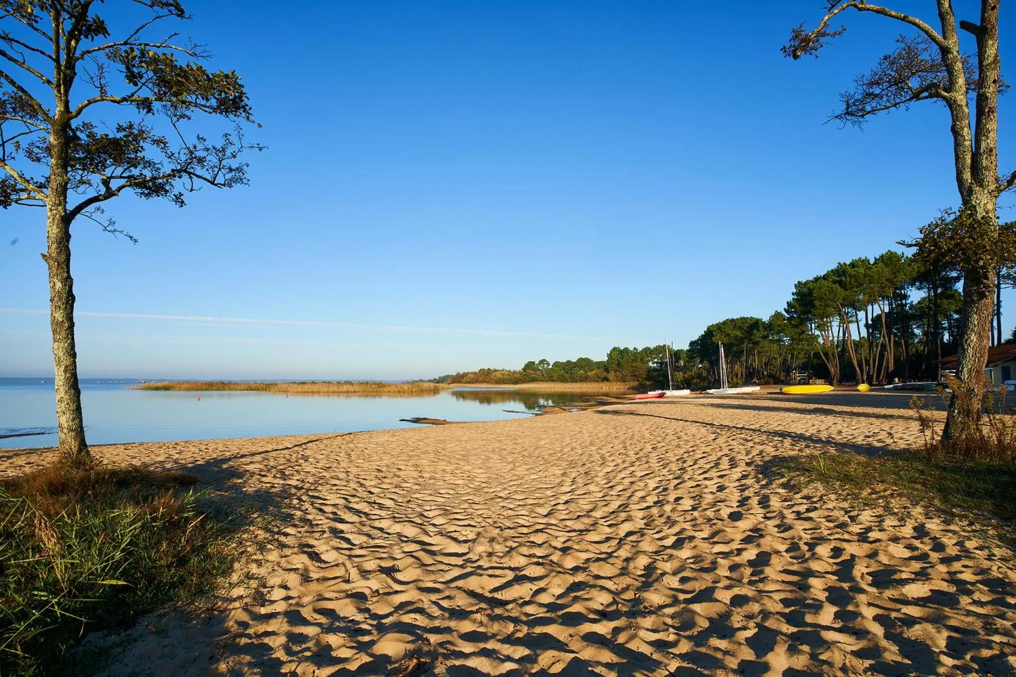 Natural landscape in Les Cottages Du Lac