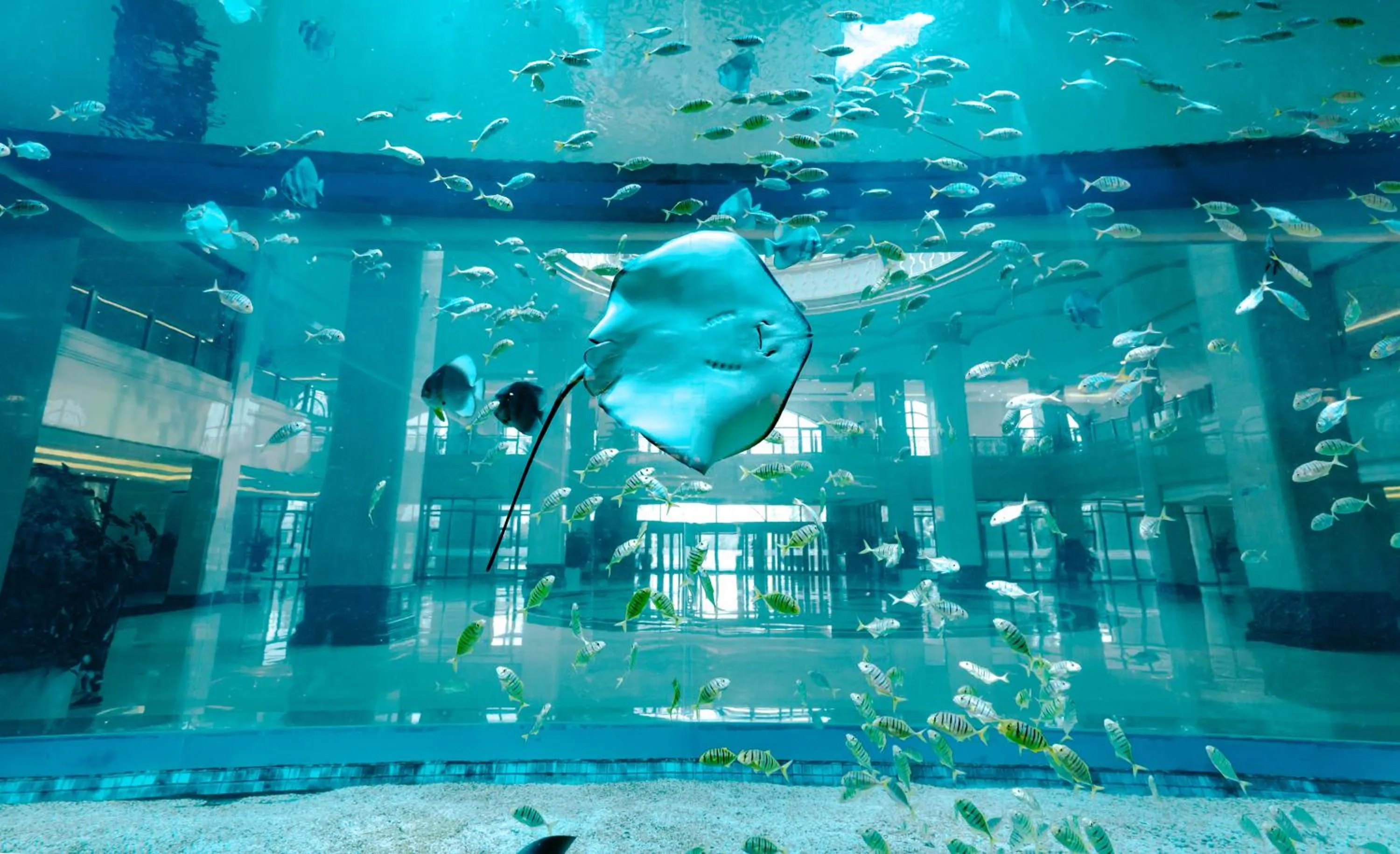 Lobby or reception in GUOCE Beijing Capital Airport Hotel & Convention Center