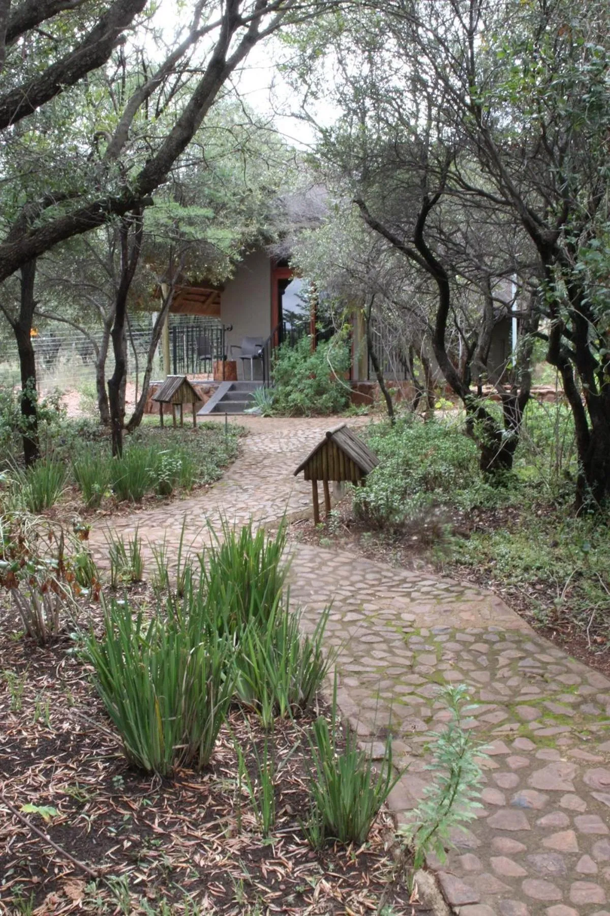 Garden in Tidimalo Lodge