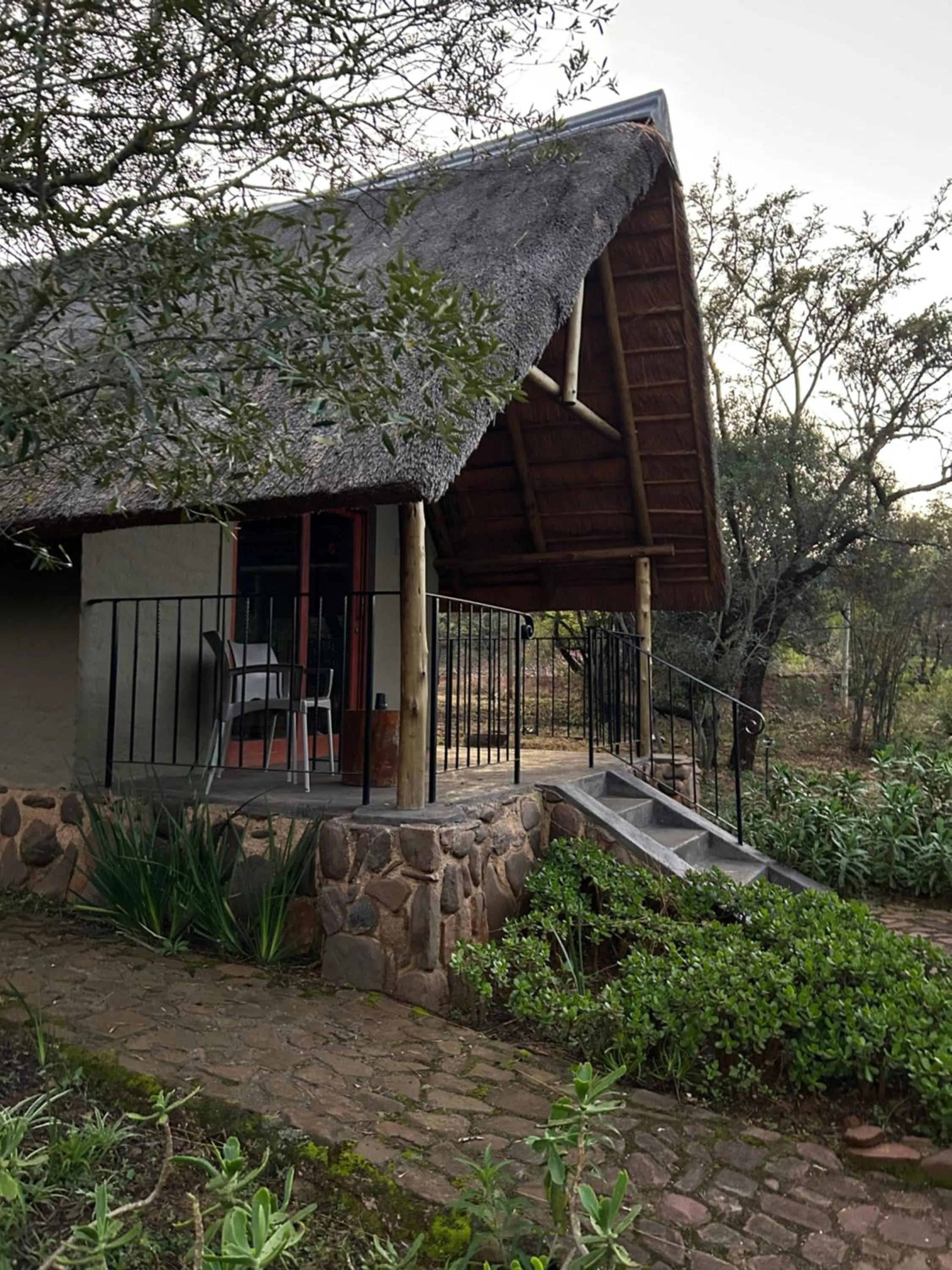 Garden view in Tidimalo Lodge