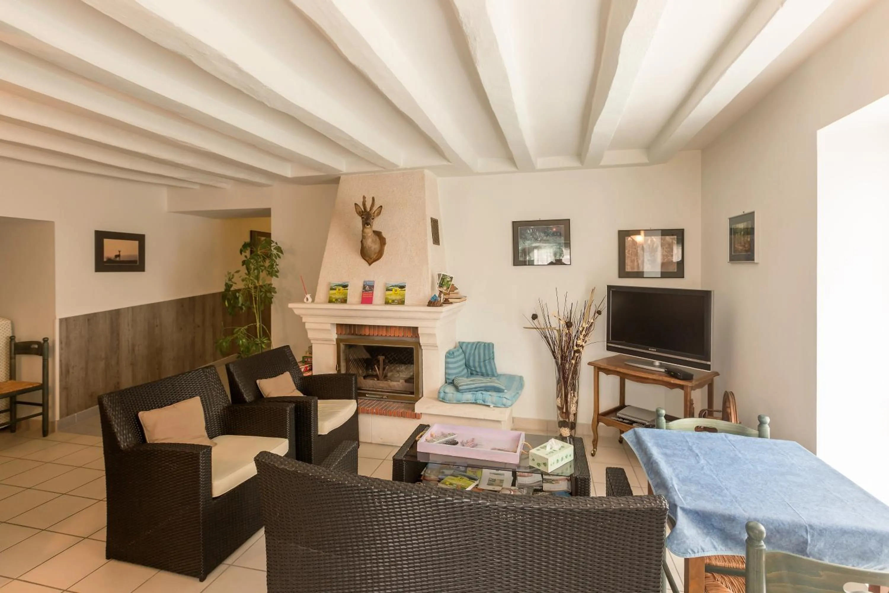 Communal lounge/ TV room in Auberge Du Cheval Blanc