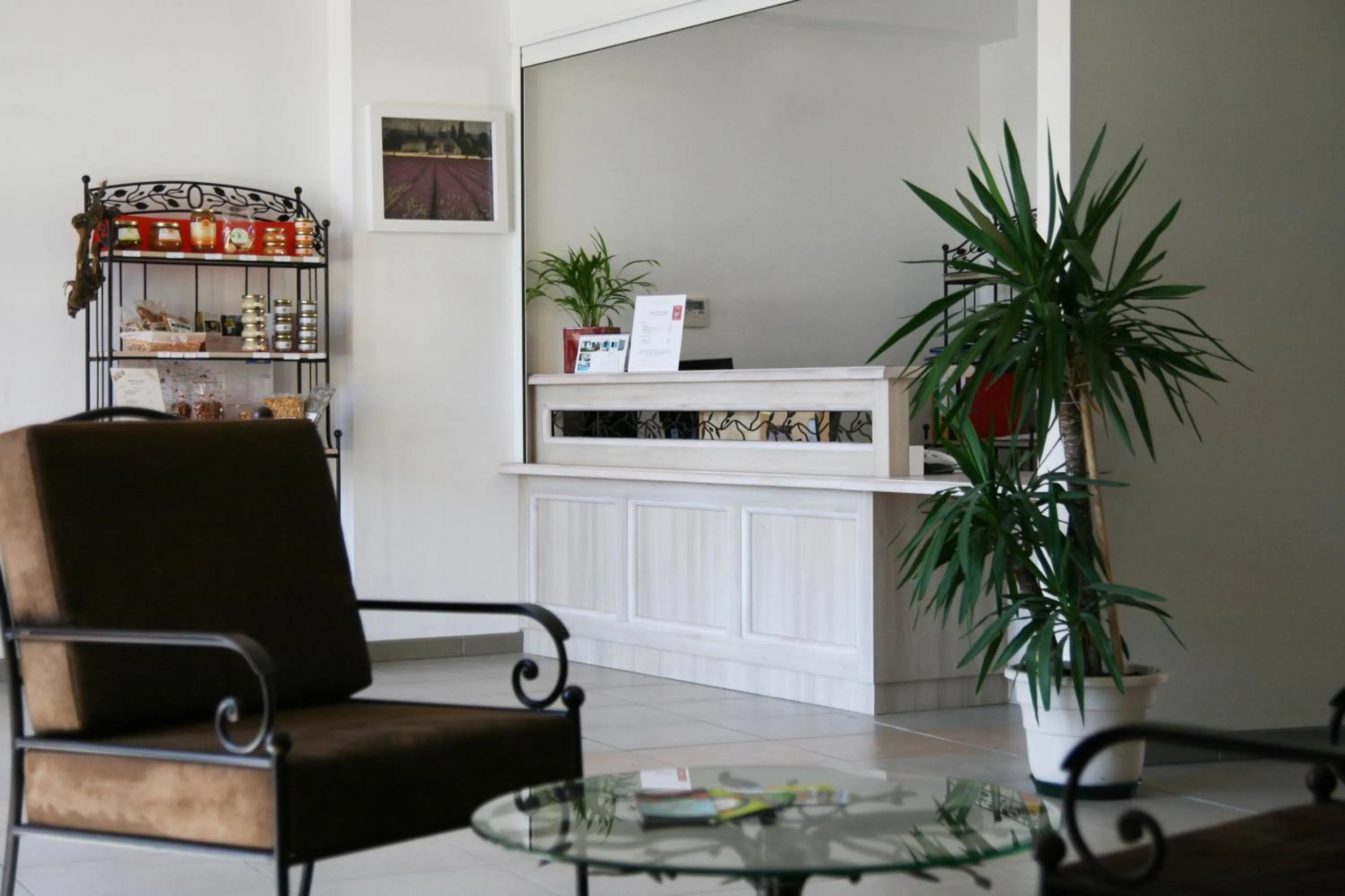 Lobby or reception in Lagrange Vacances L’Oustau de Sorgue