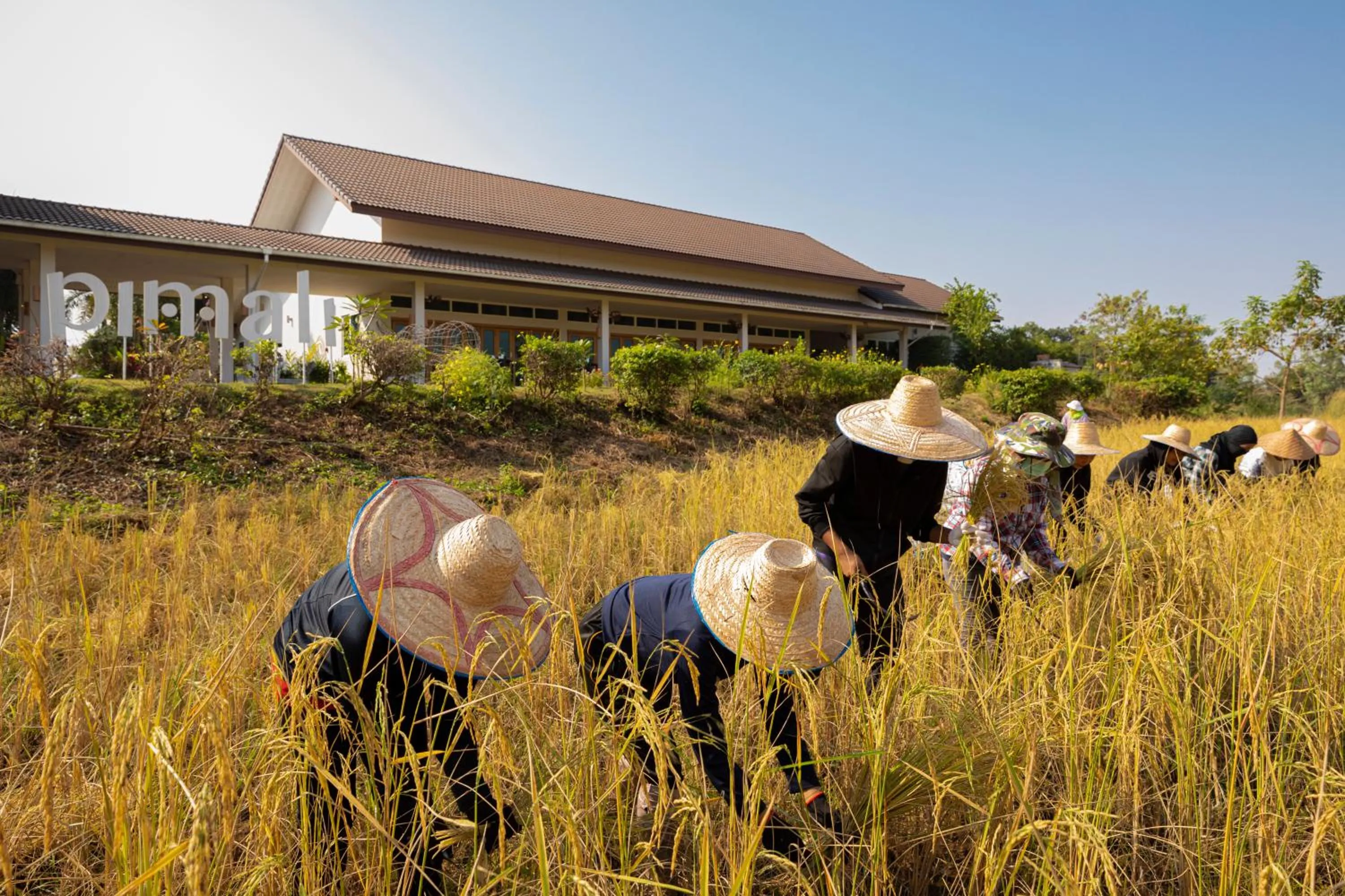 People in Pimali Resort & Training Centre