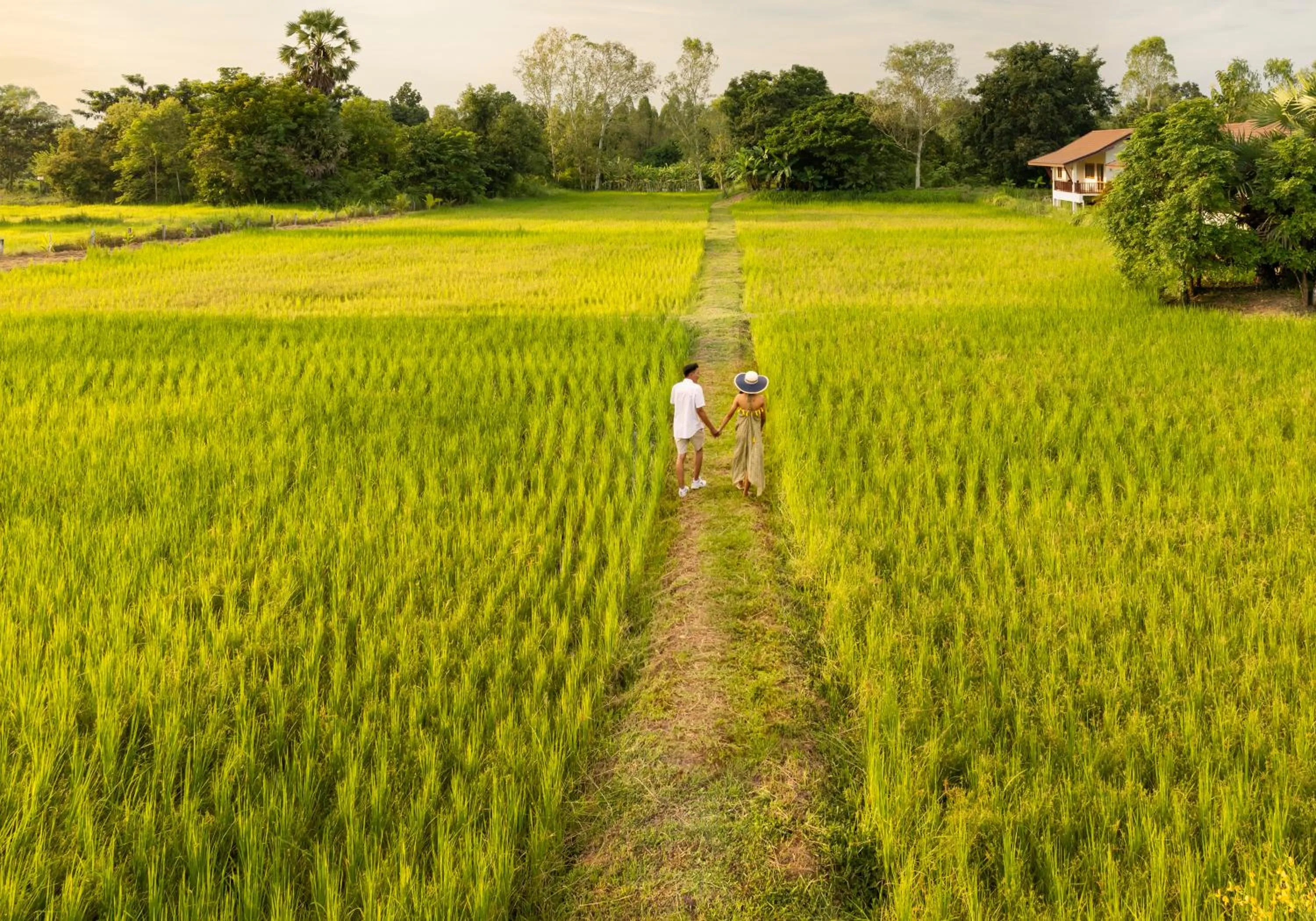 Garden view in Pimali Resort & Training Centre
