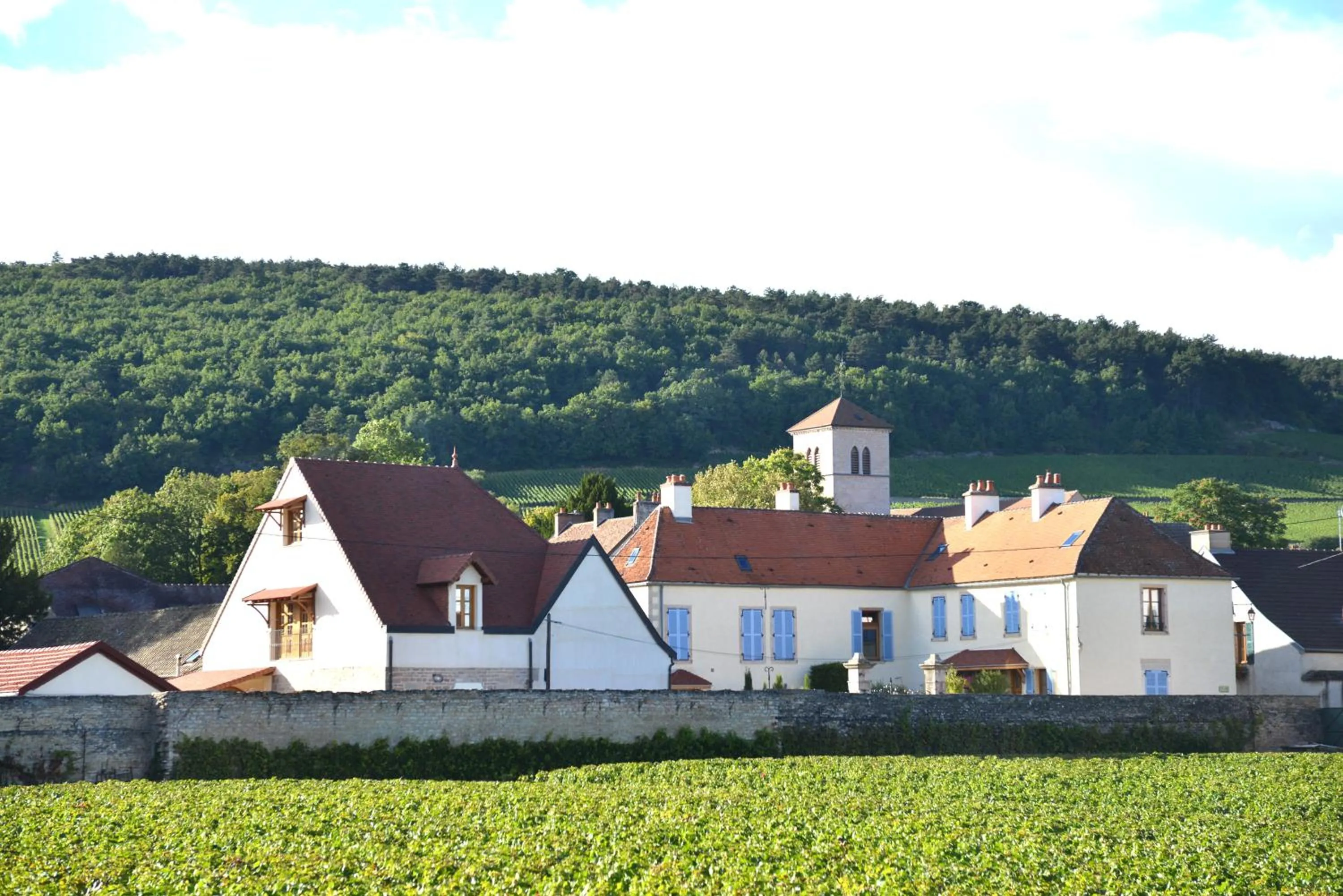 Property building in Hôtel Les Deux Chèvres Gevrey-Chambertin