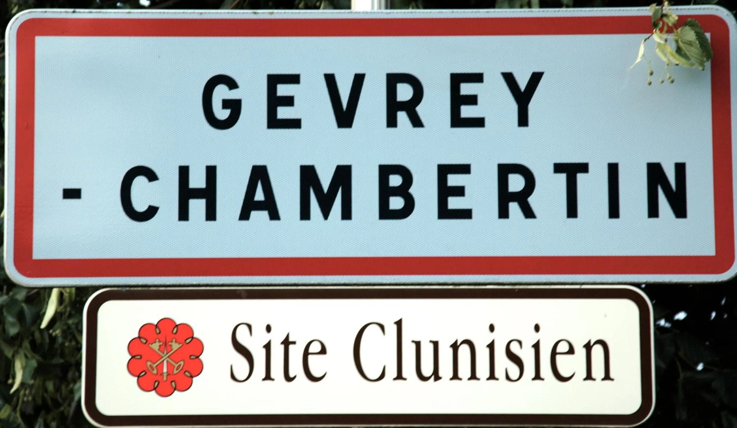 Natural landscape in Hôtel Les Deux Chèvres Gevrey-Chambertin