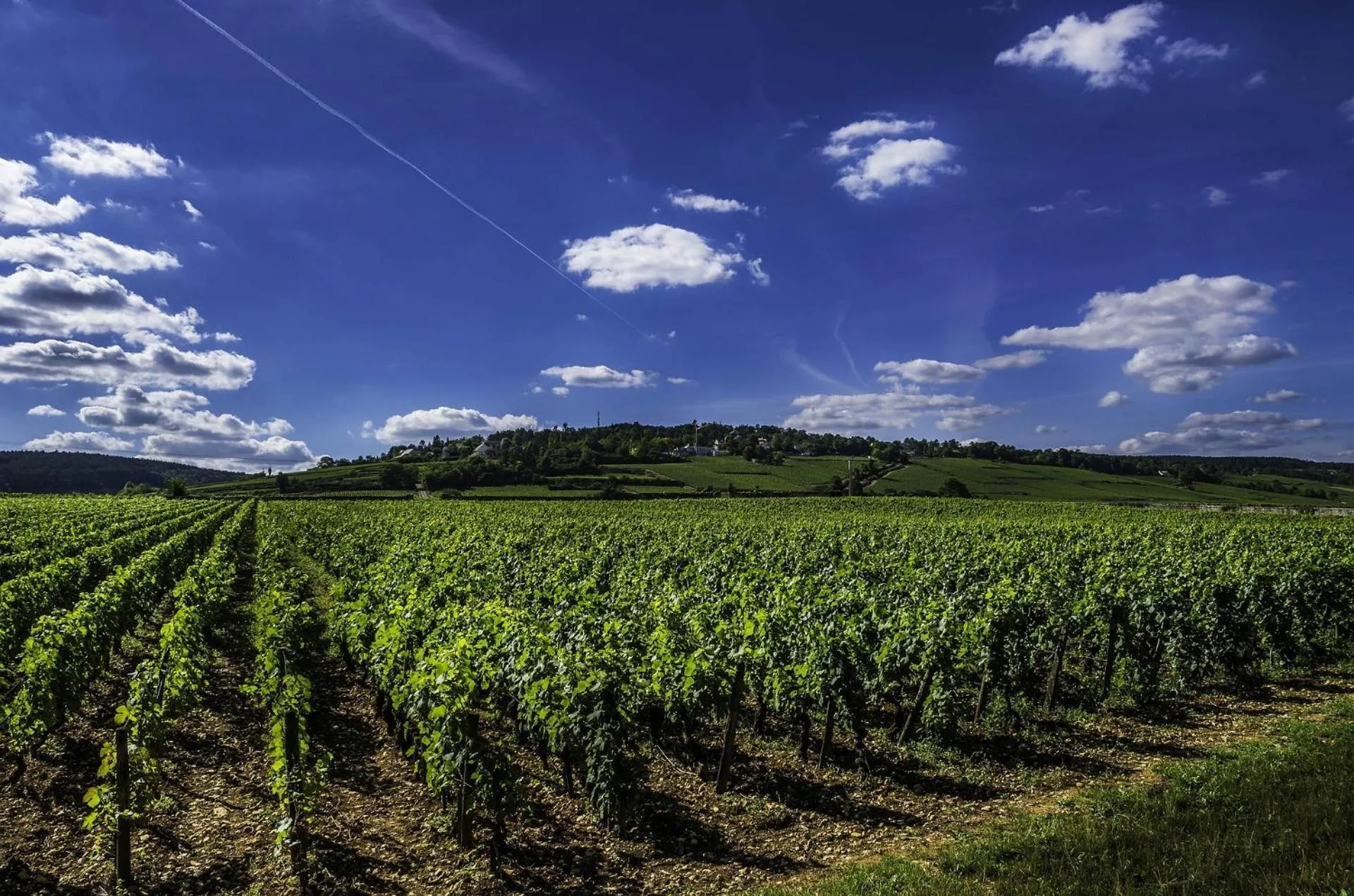 Bird's eye view in Hôtel Les Deux Chèvres Gevrey-Chambertin