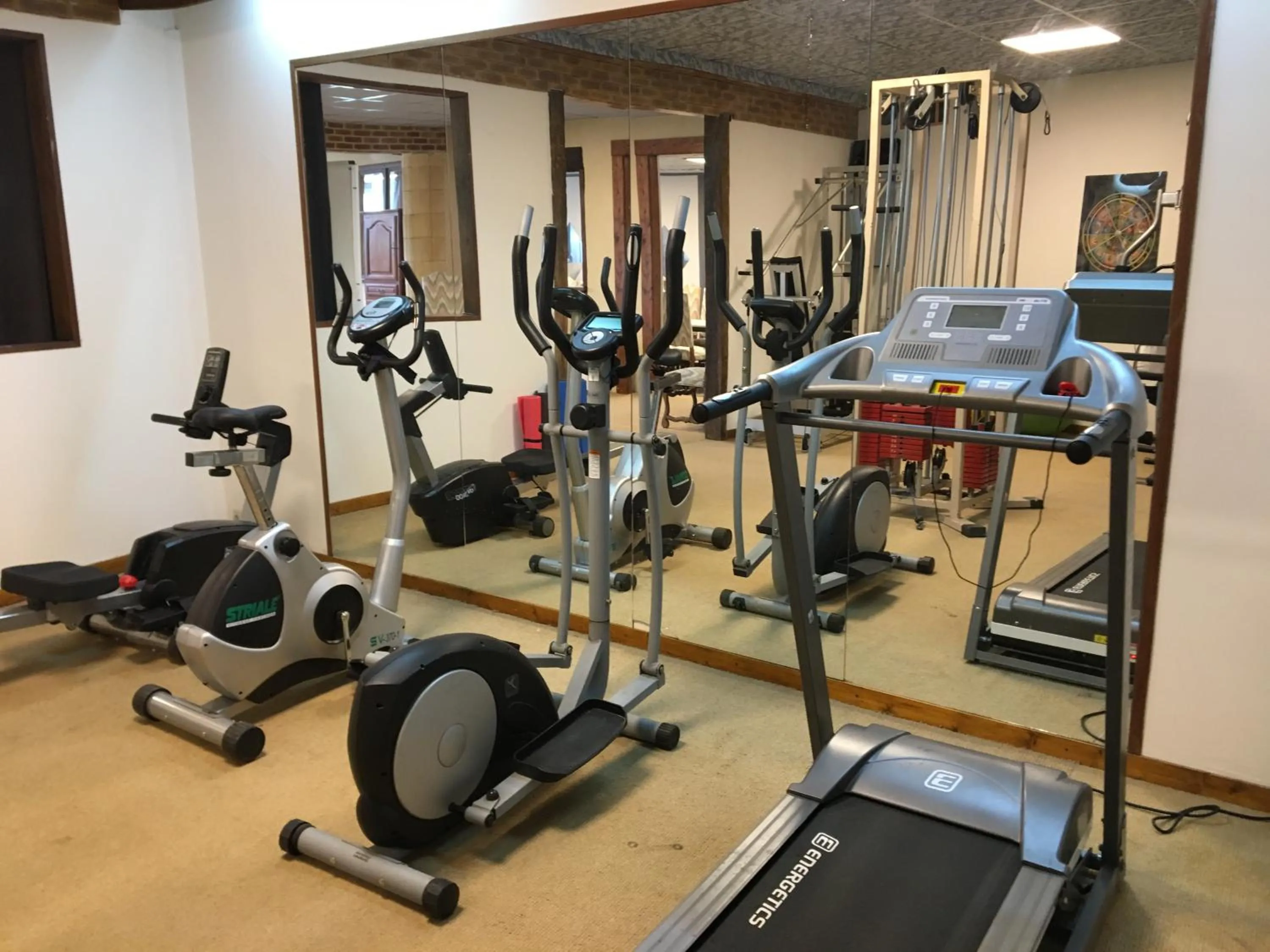 Fitness centre/facilities in Logis Hotel Oasis