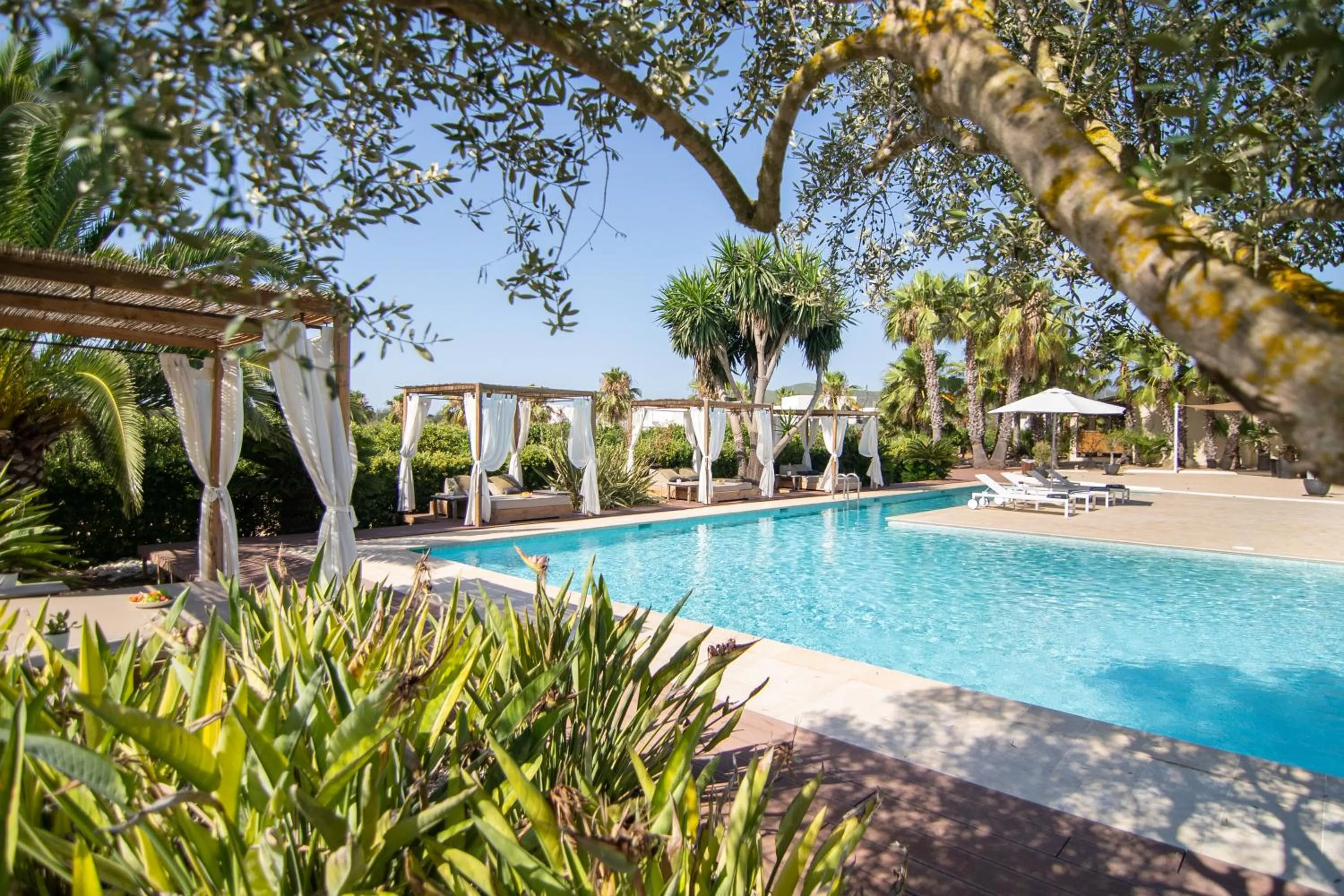 Natural landscape in Can Jaume Private Villas by Ocean Drive