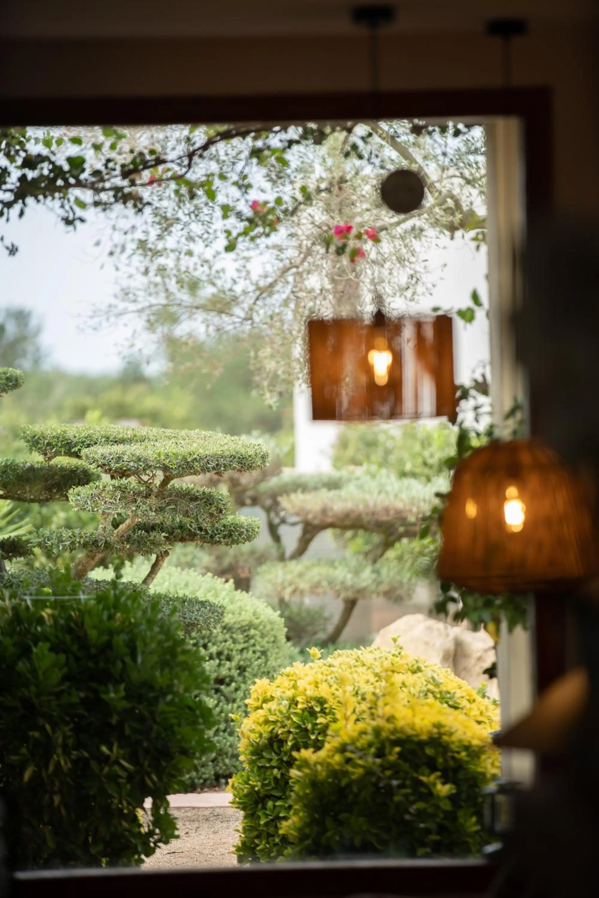 Garden in Can Jaume Private Villas by Ocean Drive
