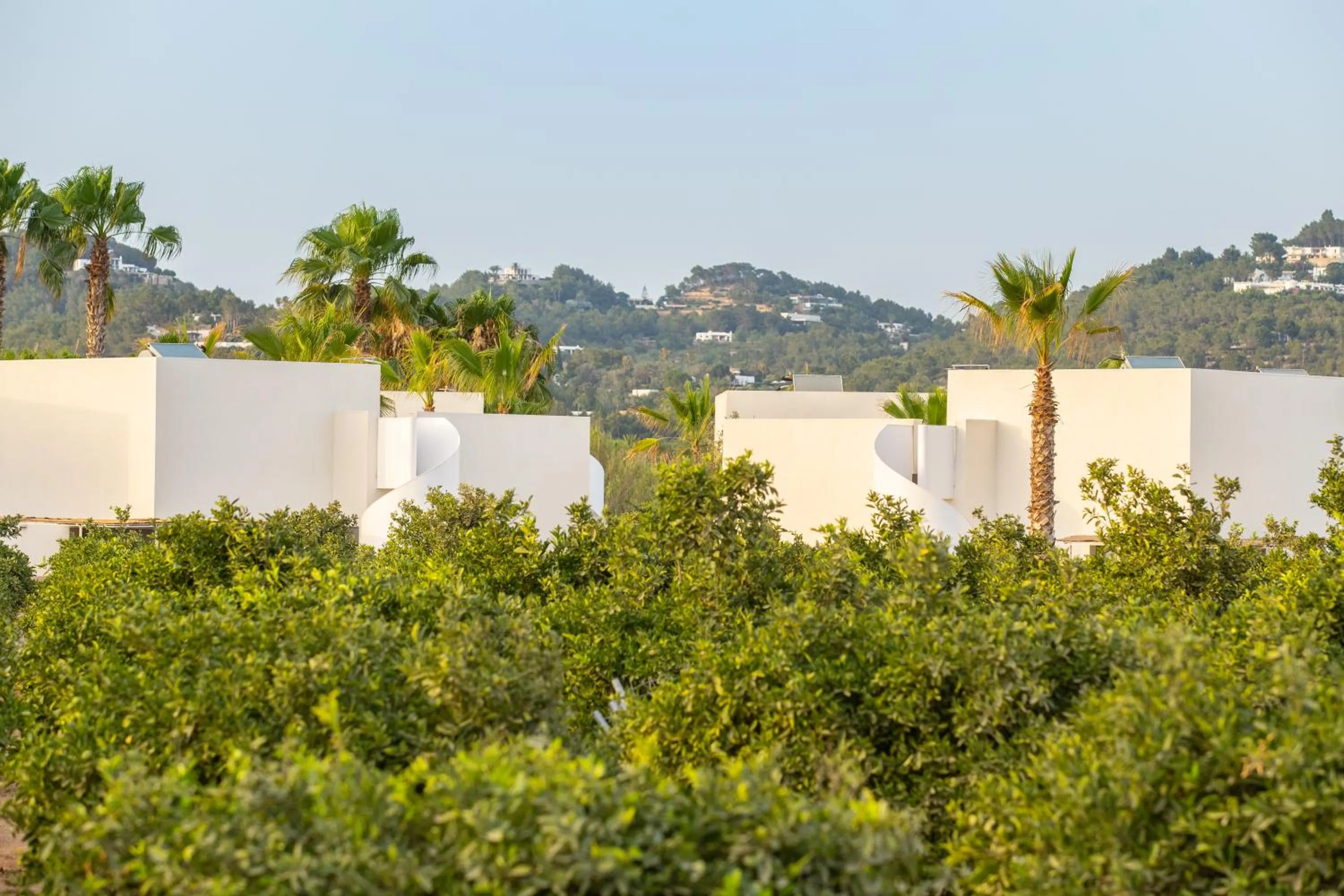 Natural landscape in Can Jaume Private Villas by Ocean Drive