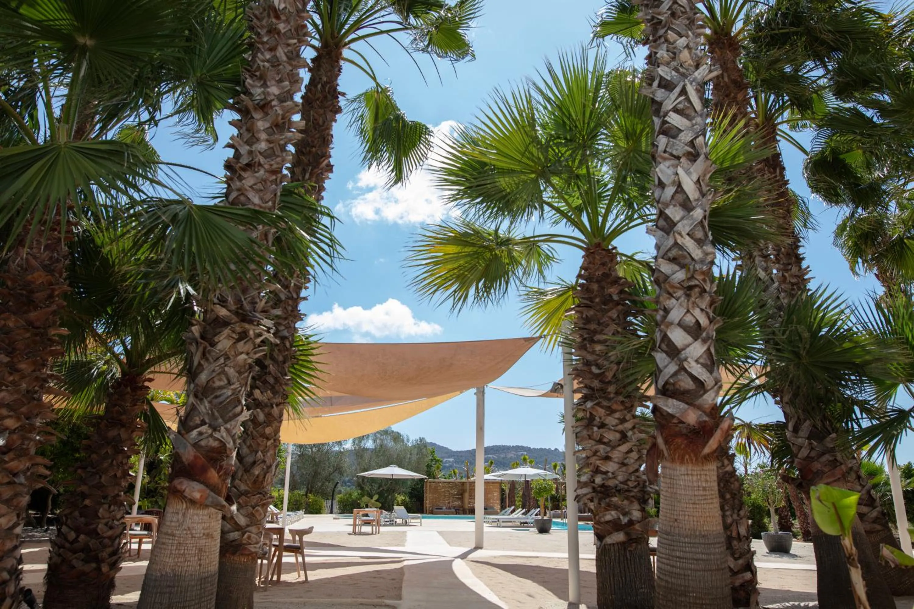 Swimming pool in Can Jaume Private Villas by Ocean Drive