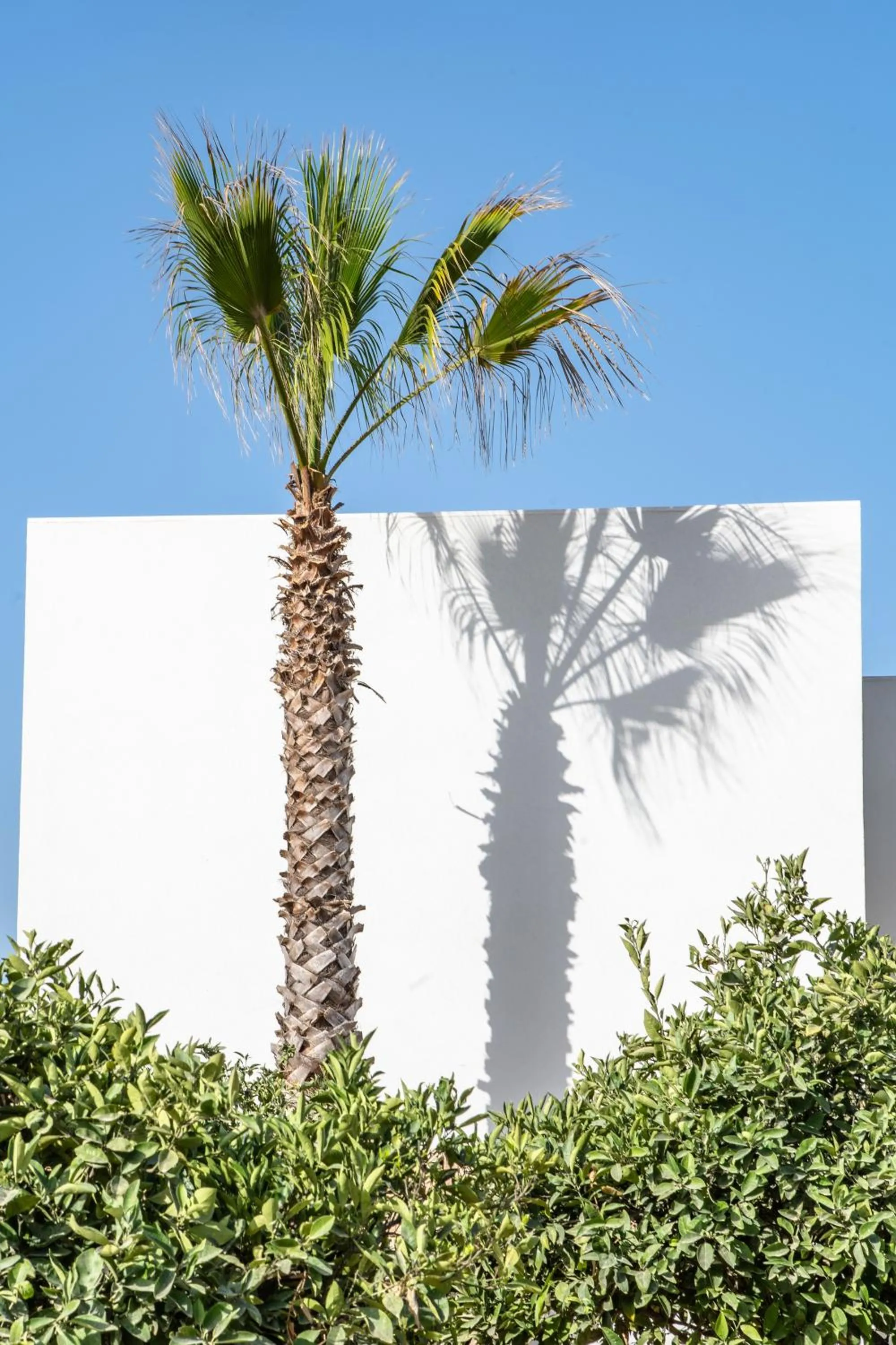 Natural landscape in Can Jaume Private Villas by Ocean Drive