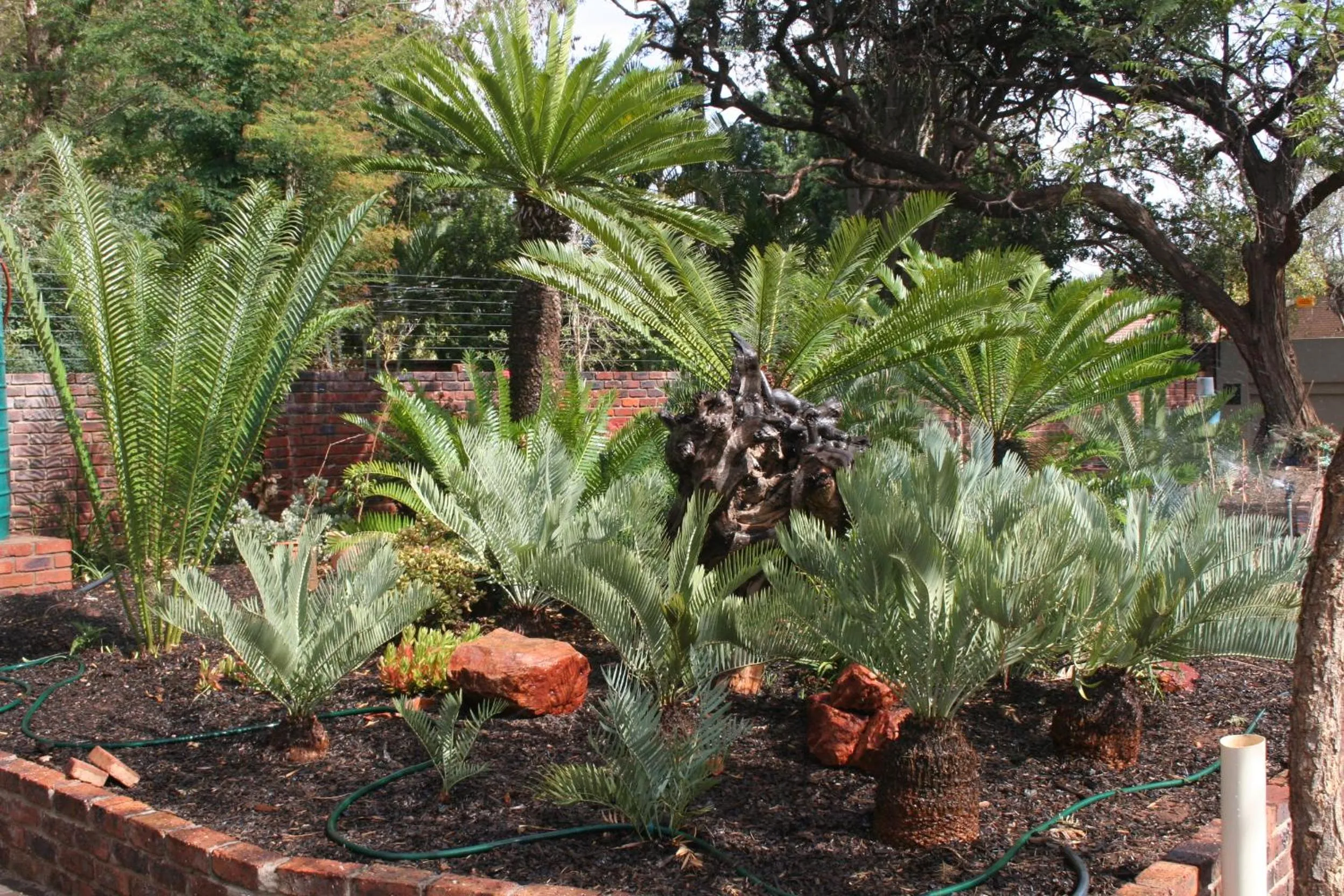 Property building in Oryx B&B Reserved Guests Only