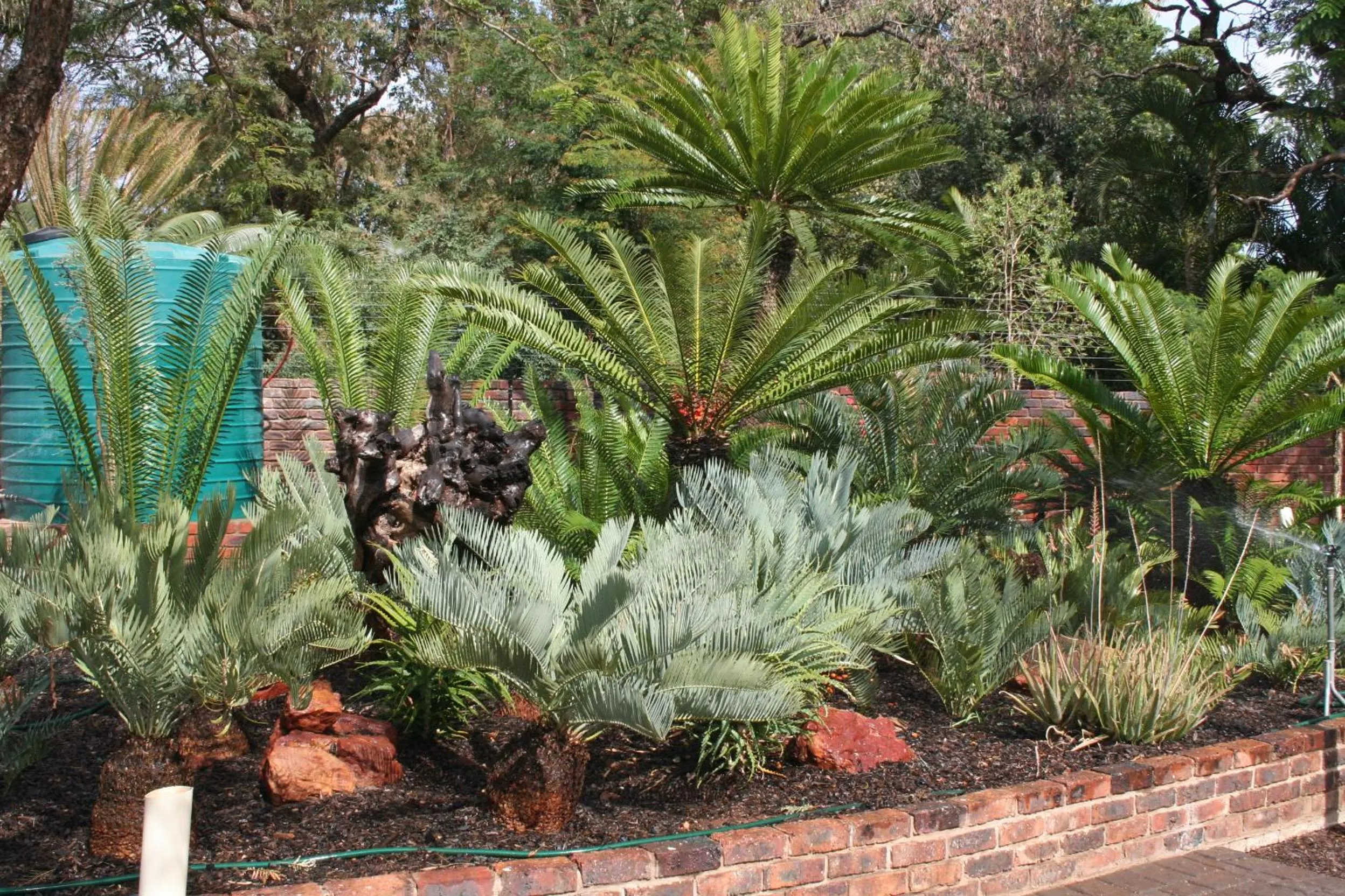 Property building in Oryx B&B Reserved Guests Only