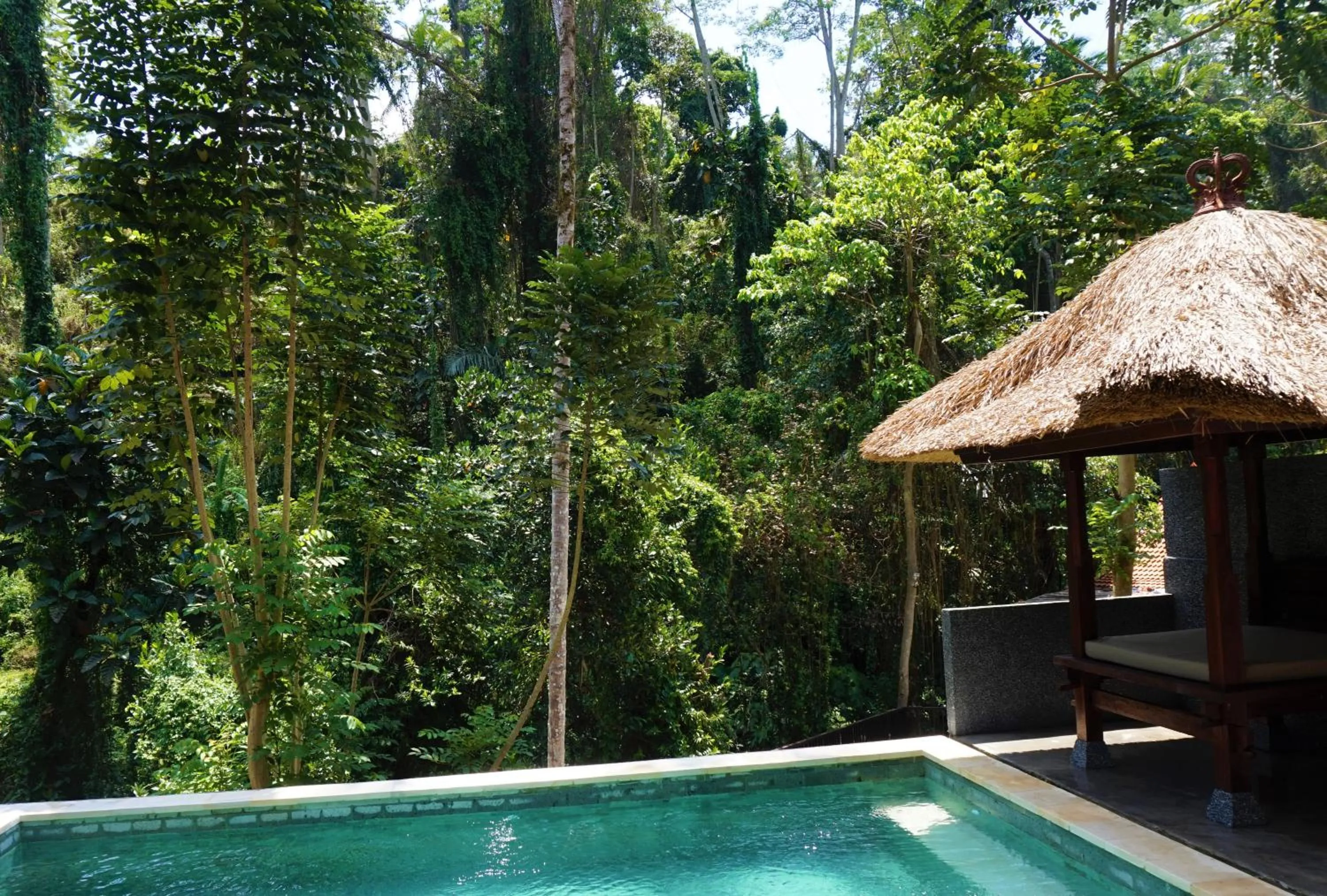 Natural landscape in Ubud Hills Villas & Resort