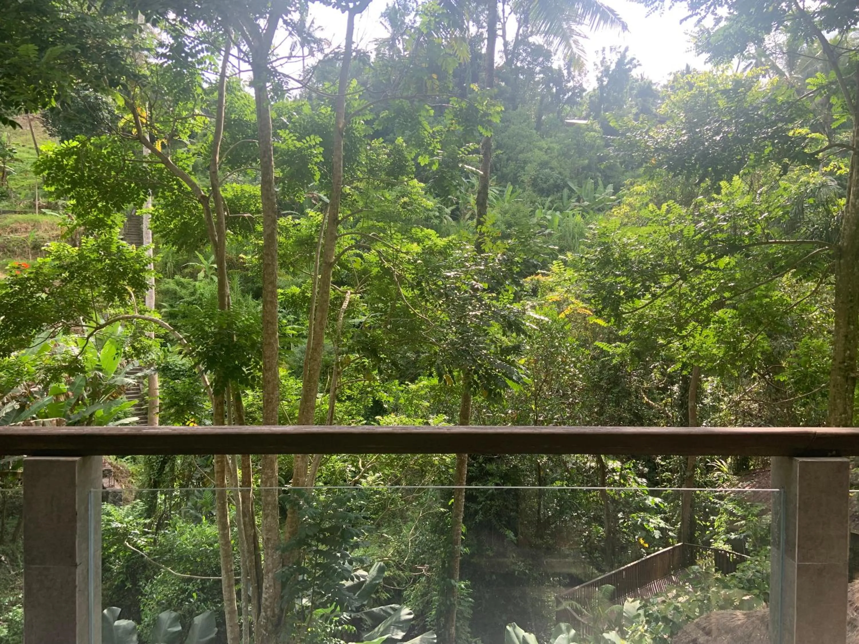 Pool view in Ubud Hills Villas & Resort