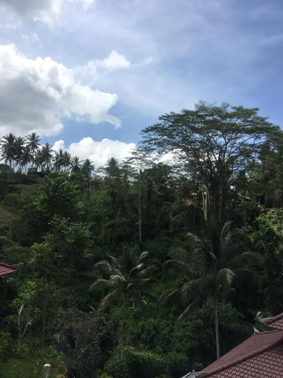 Natural landscape in Ubud Hills Villas & Resort