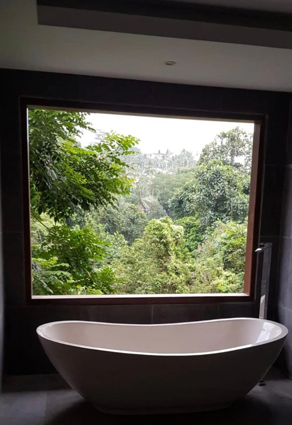 Natural landscape in Ubud Hills Villas & Resort