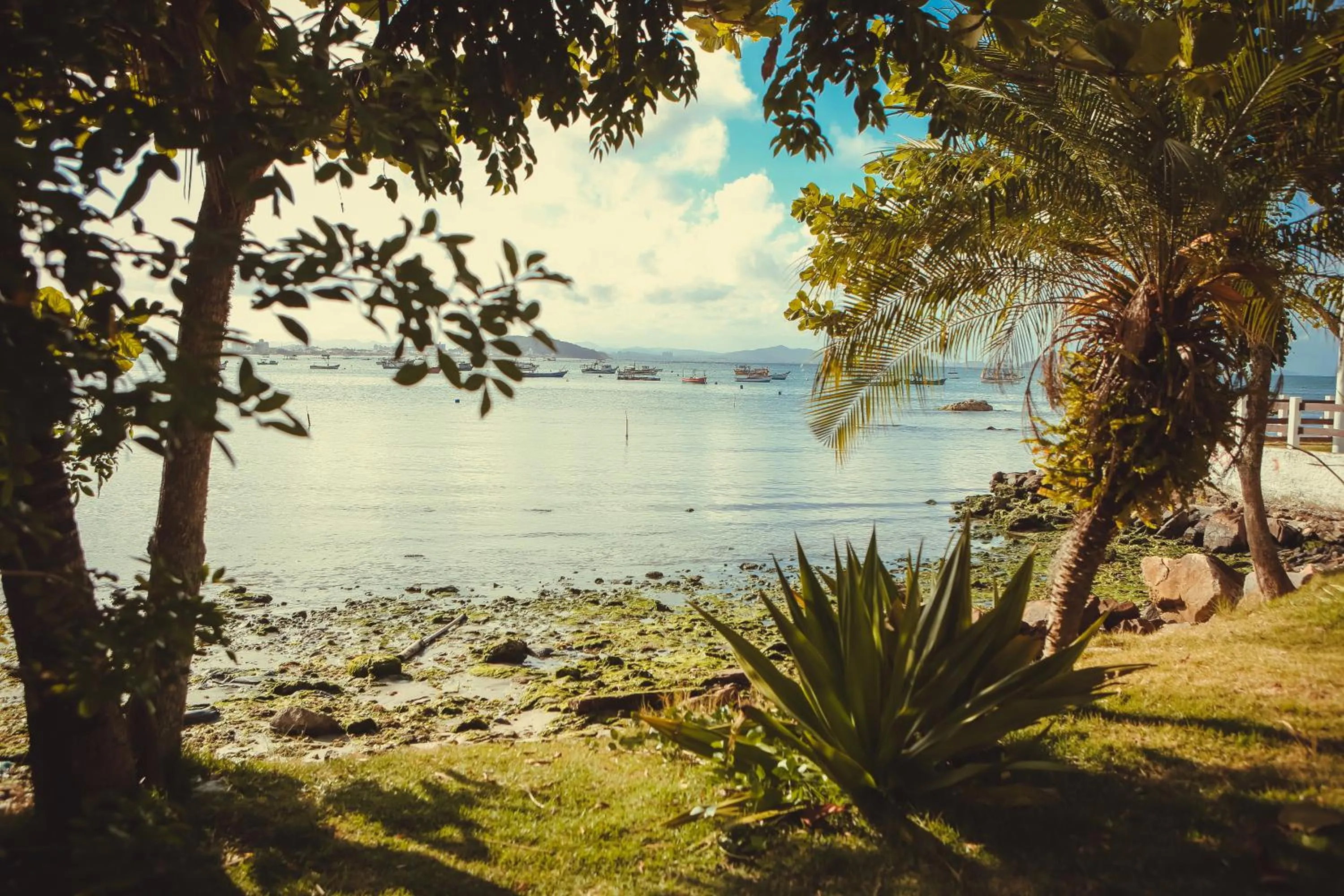 Beach in Hotel Açoriano