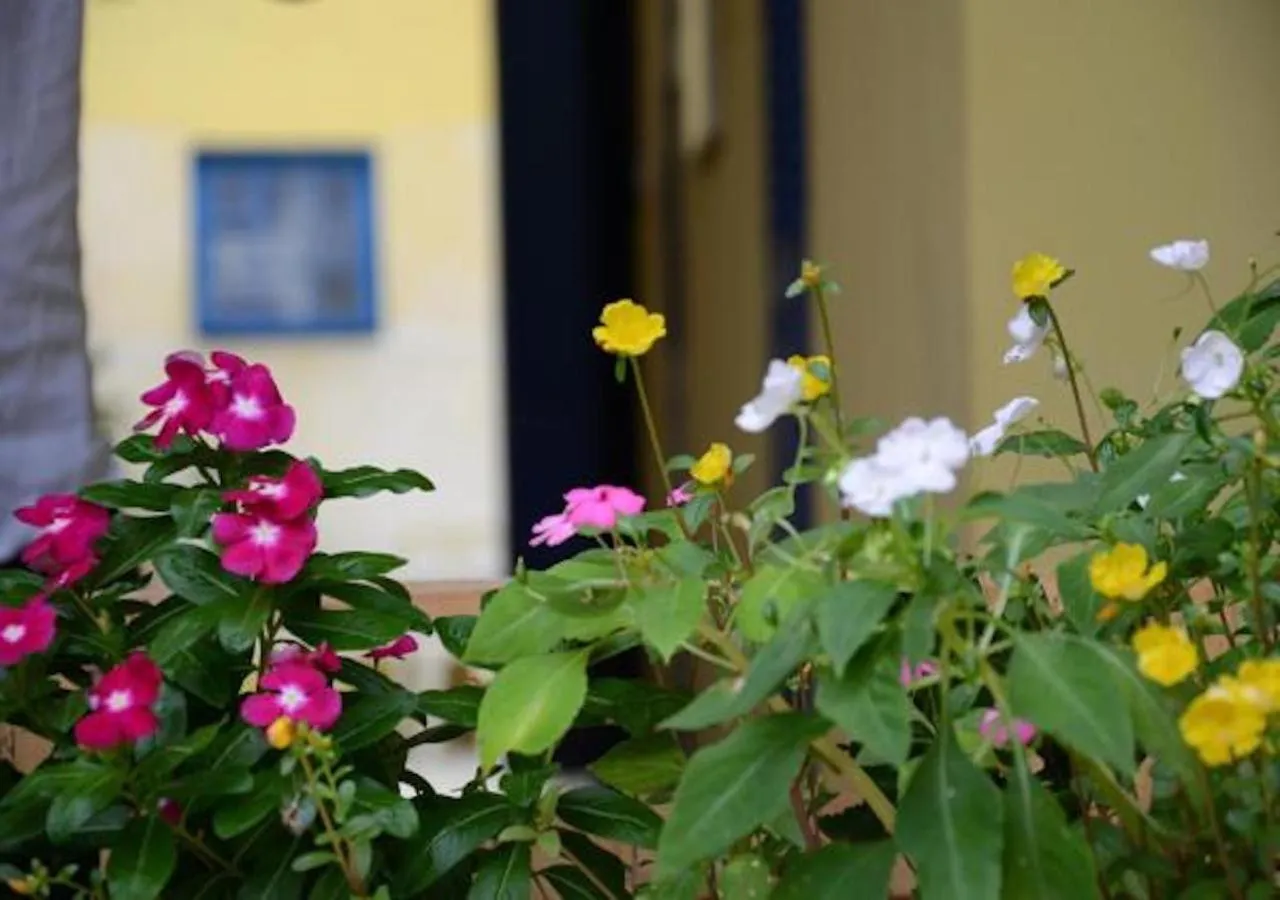 Balcony/Terrace in Brasileranza Hostel