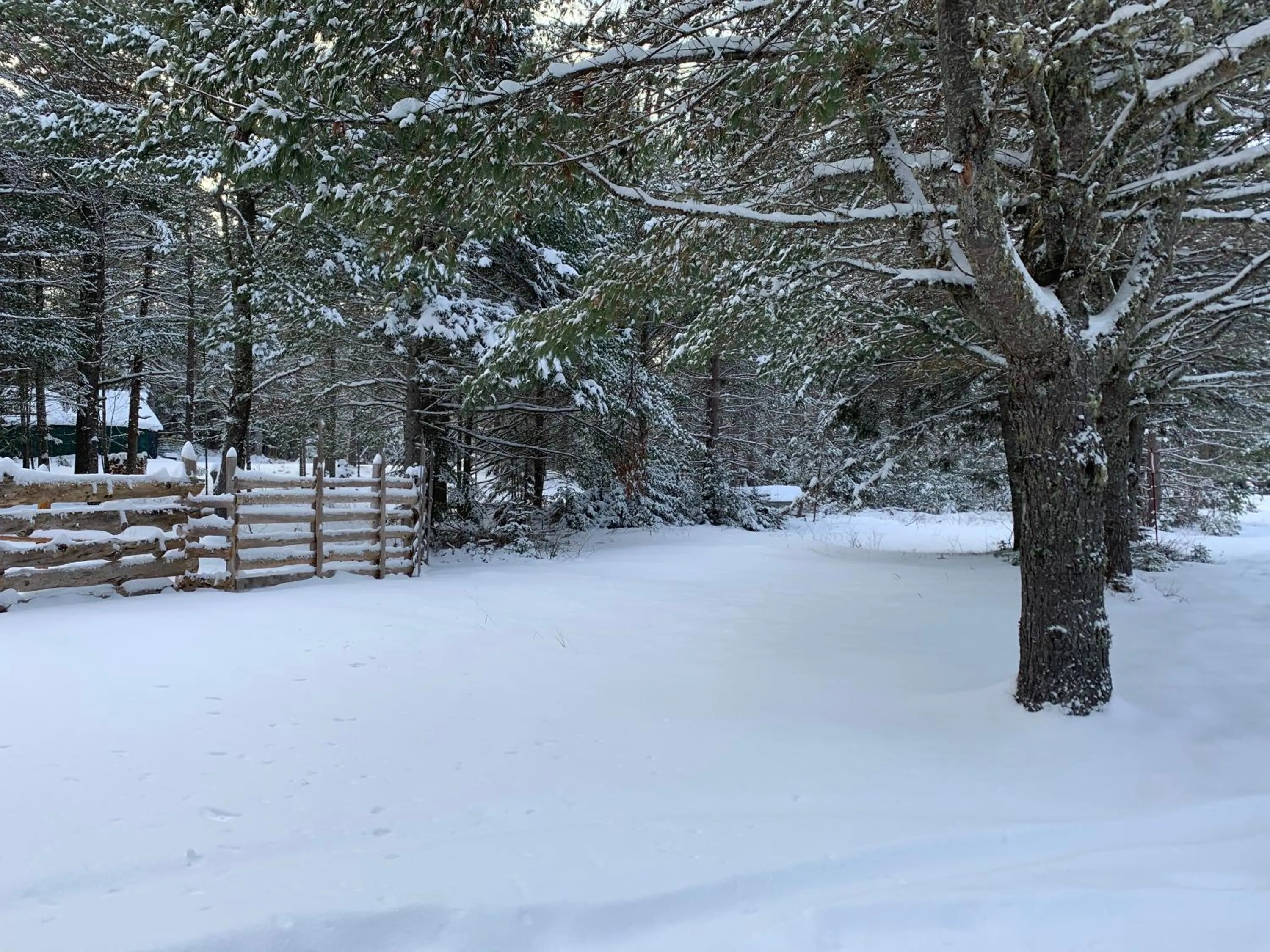 Natural landscape in L'Auberge Refuge du Trappeur