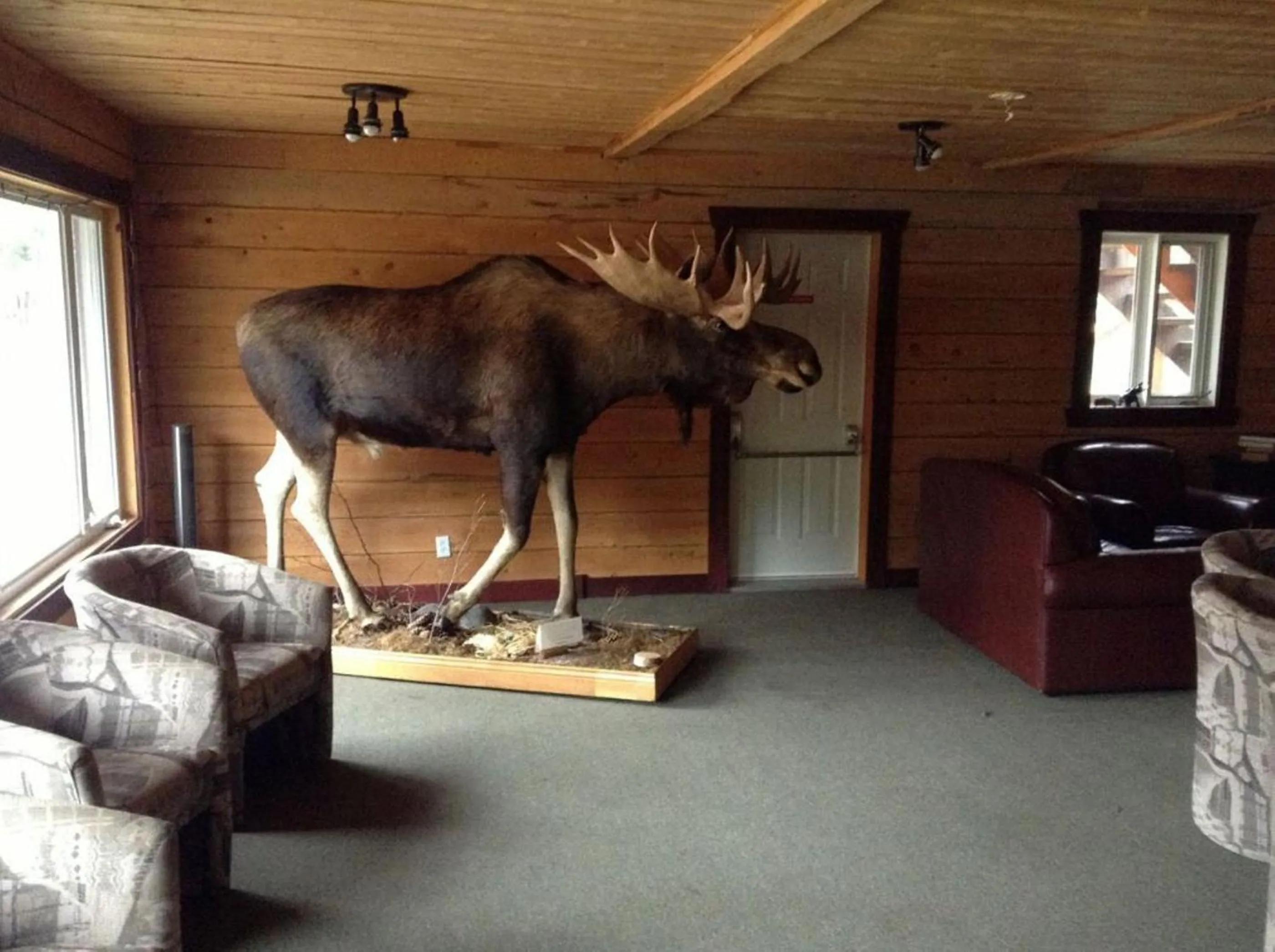Decorative detail in L'Auberge Refuge du Trappeur