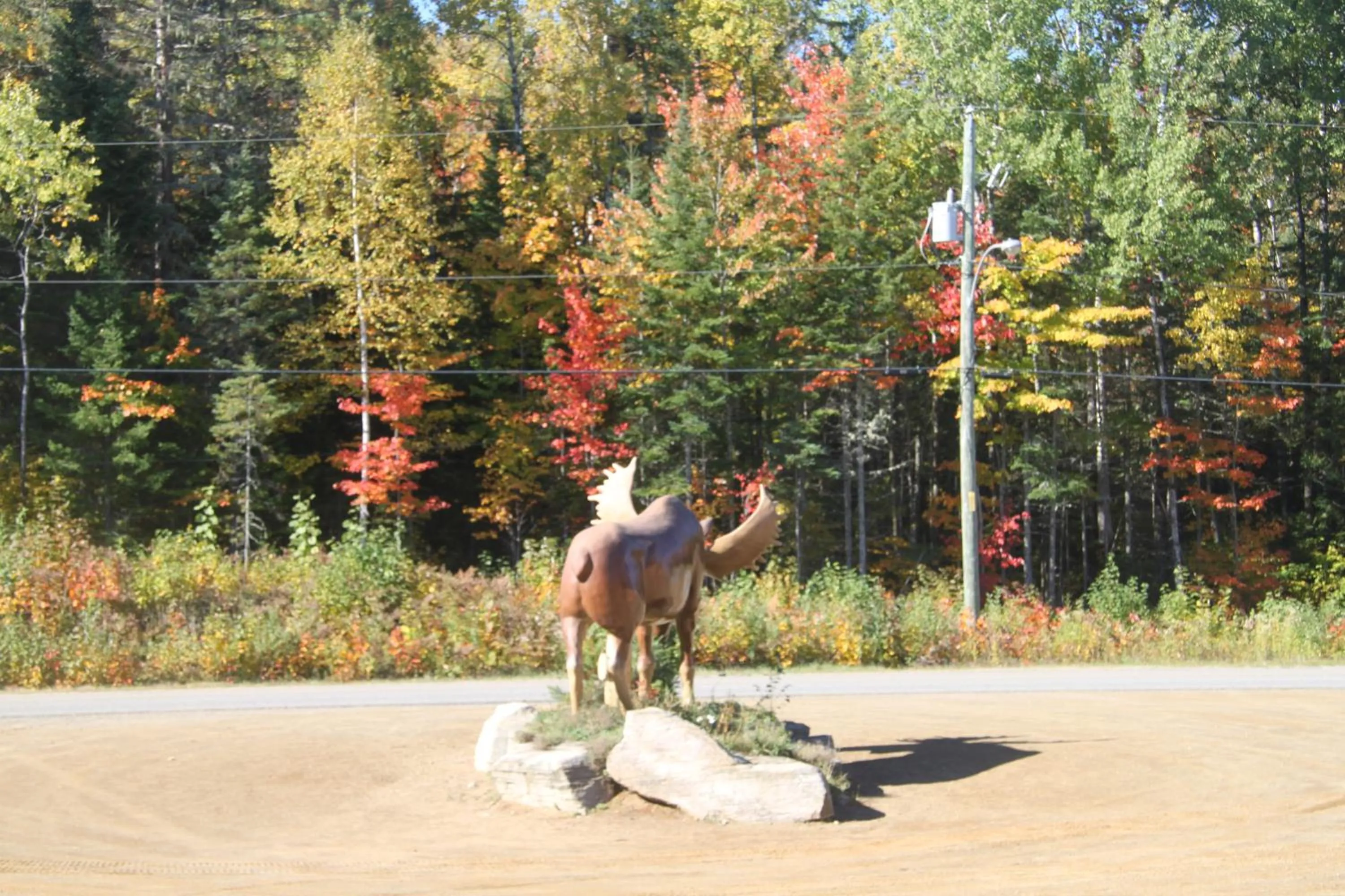 Parking in L'Auberge Refuge du Trappeur