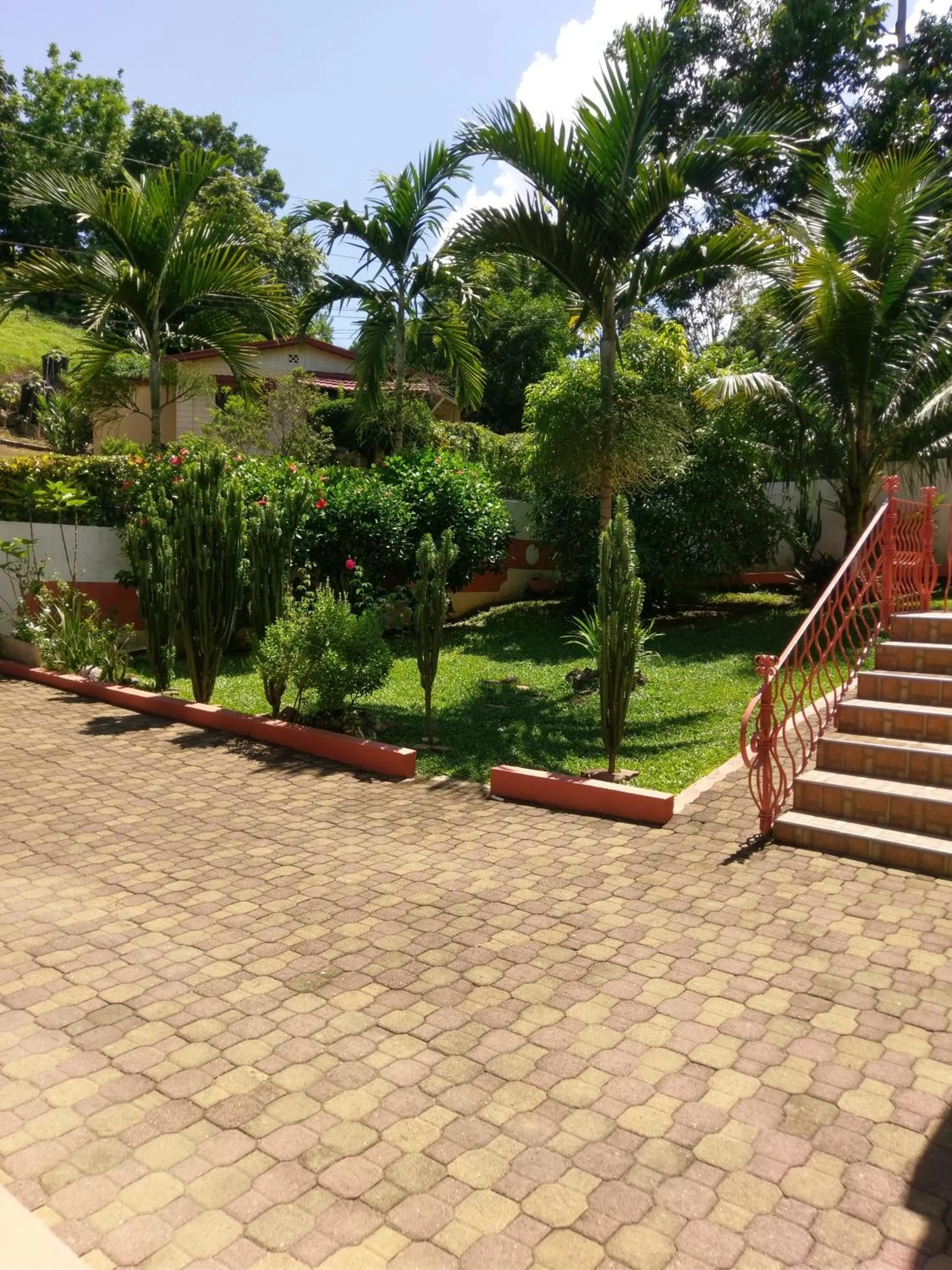 Garden in Polish Princess Guest House