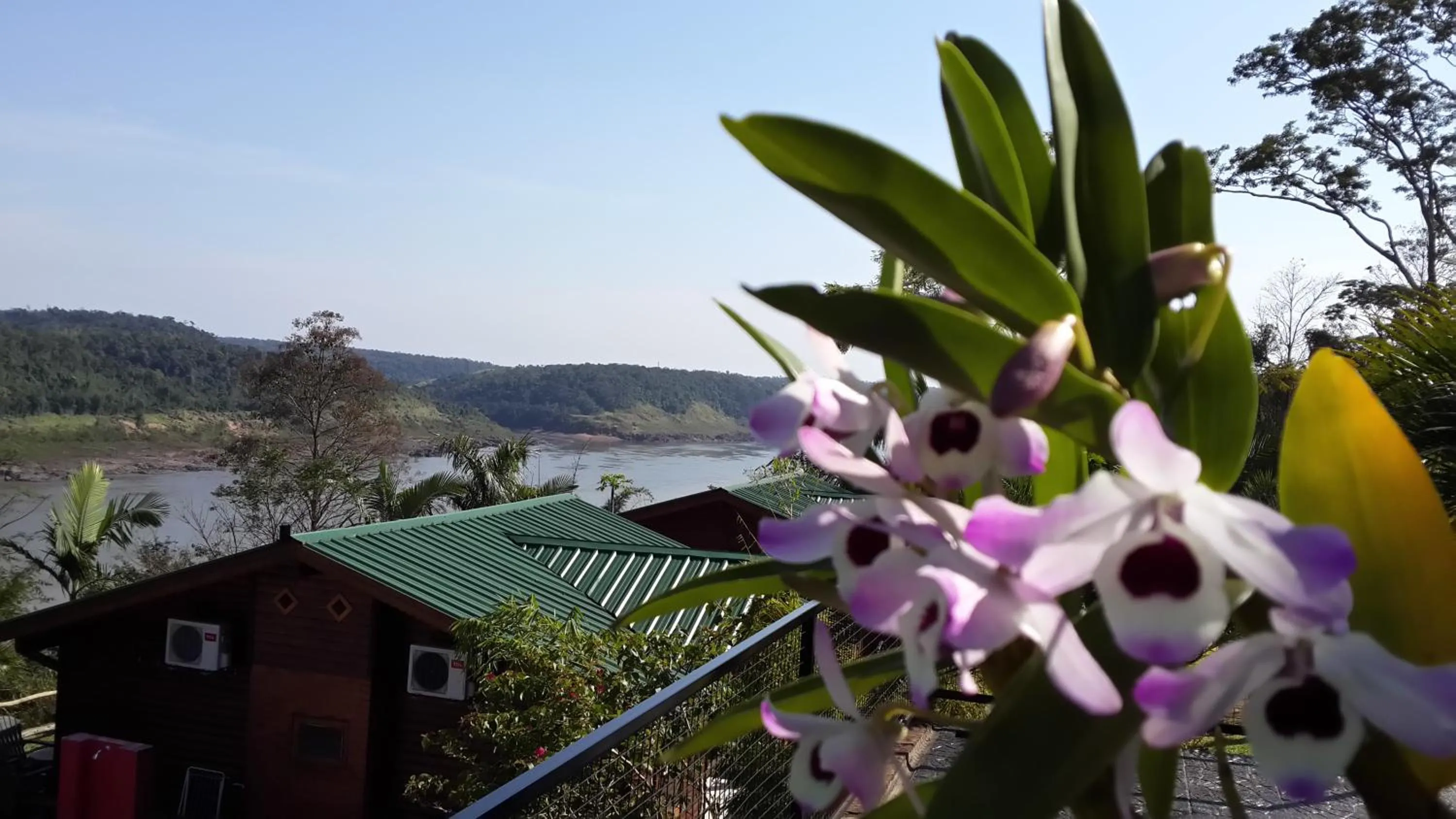 Garden in Costa del Sol Iguazú