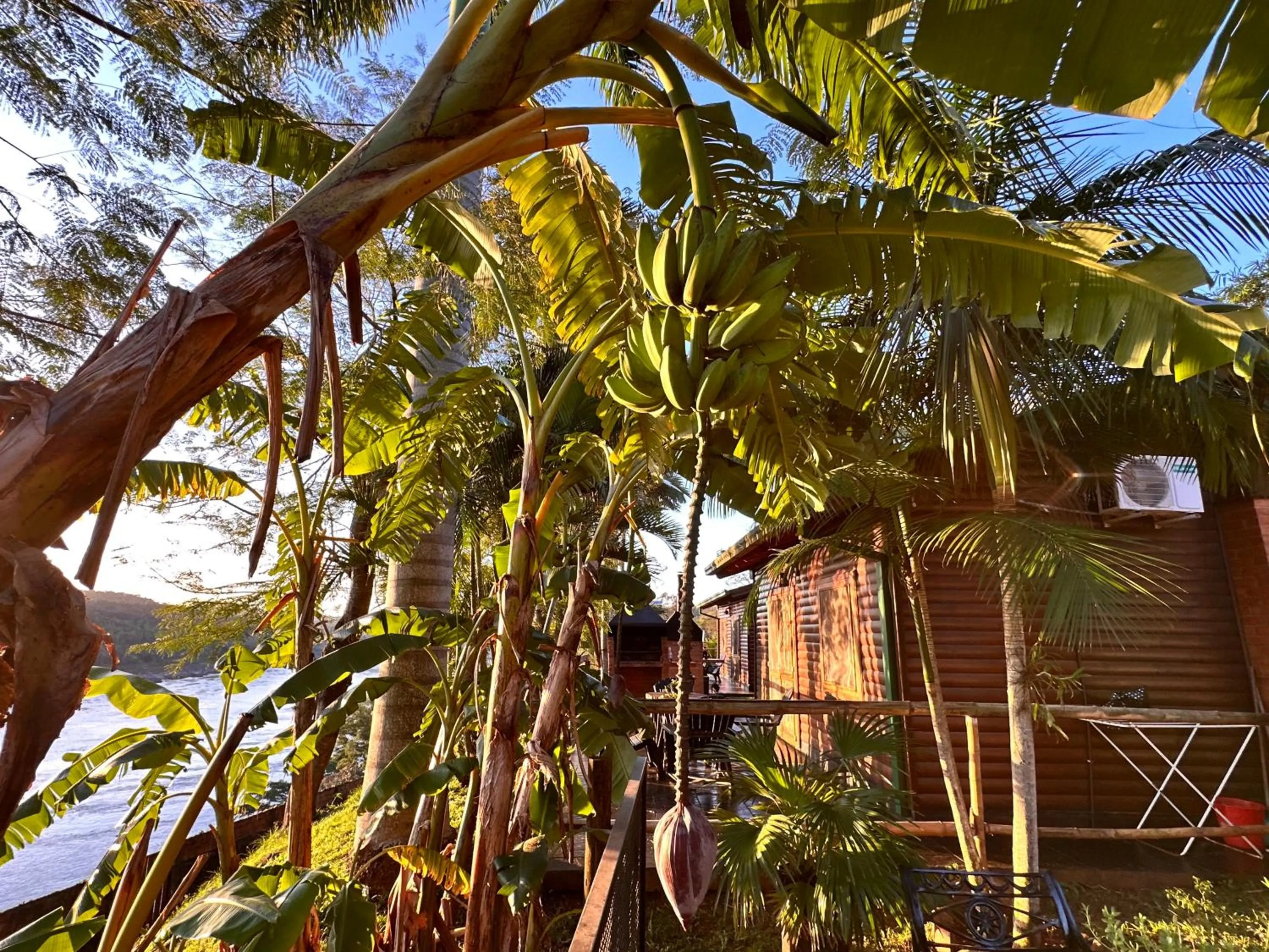 Property building in Costa del Sol Iguazú