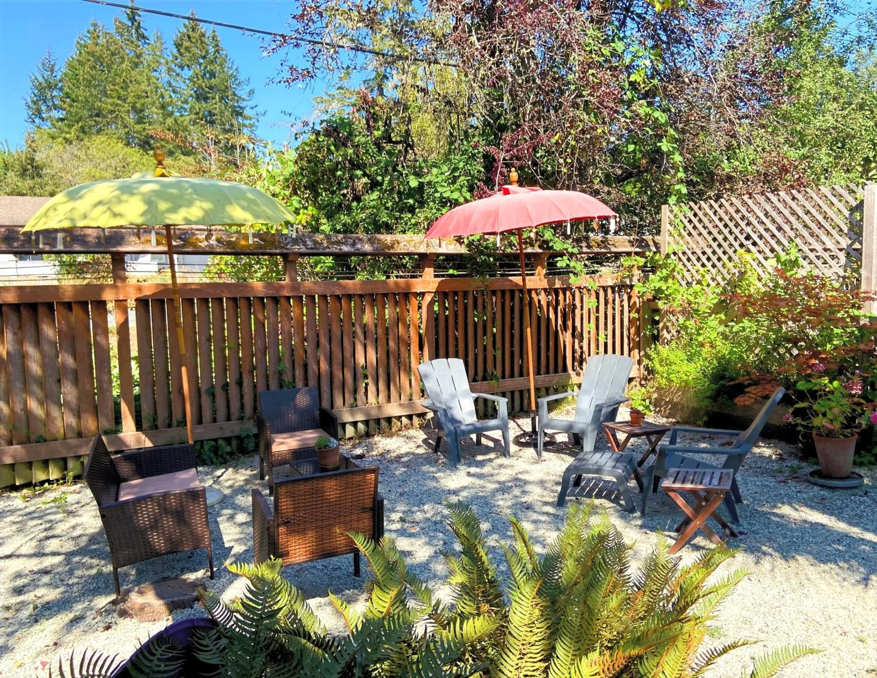 Patio in Wisteria Guest House