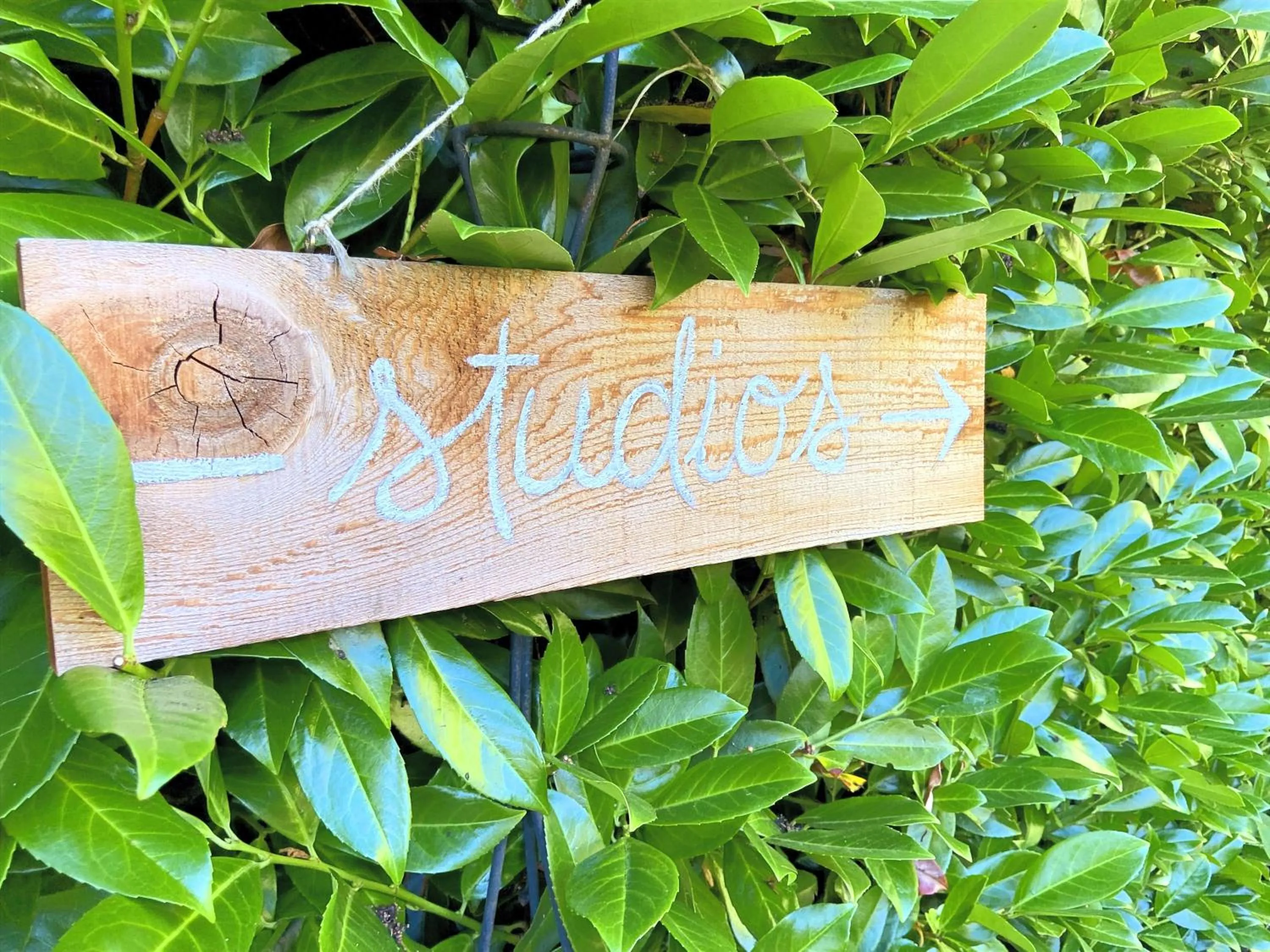 Property logo or sign in Wisteria Guest House