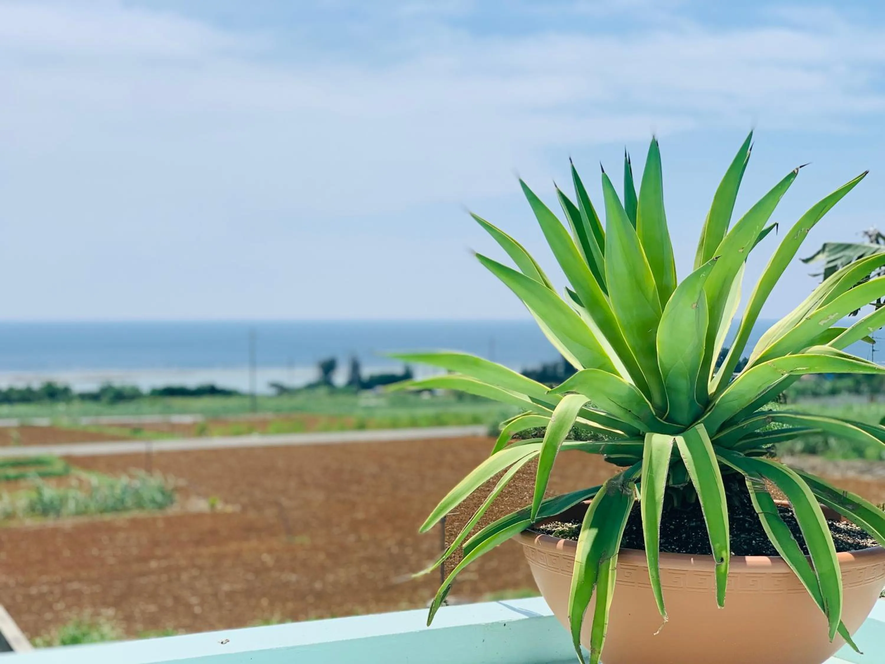 Property building in Panorama