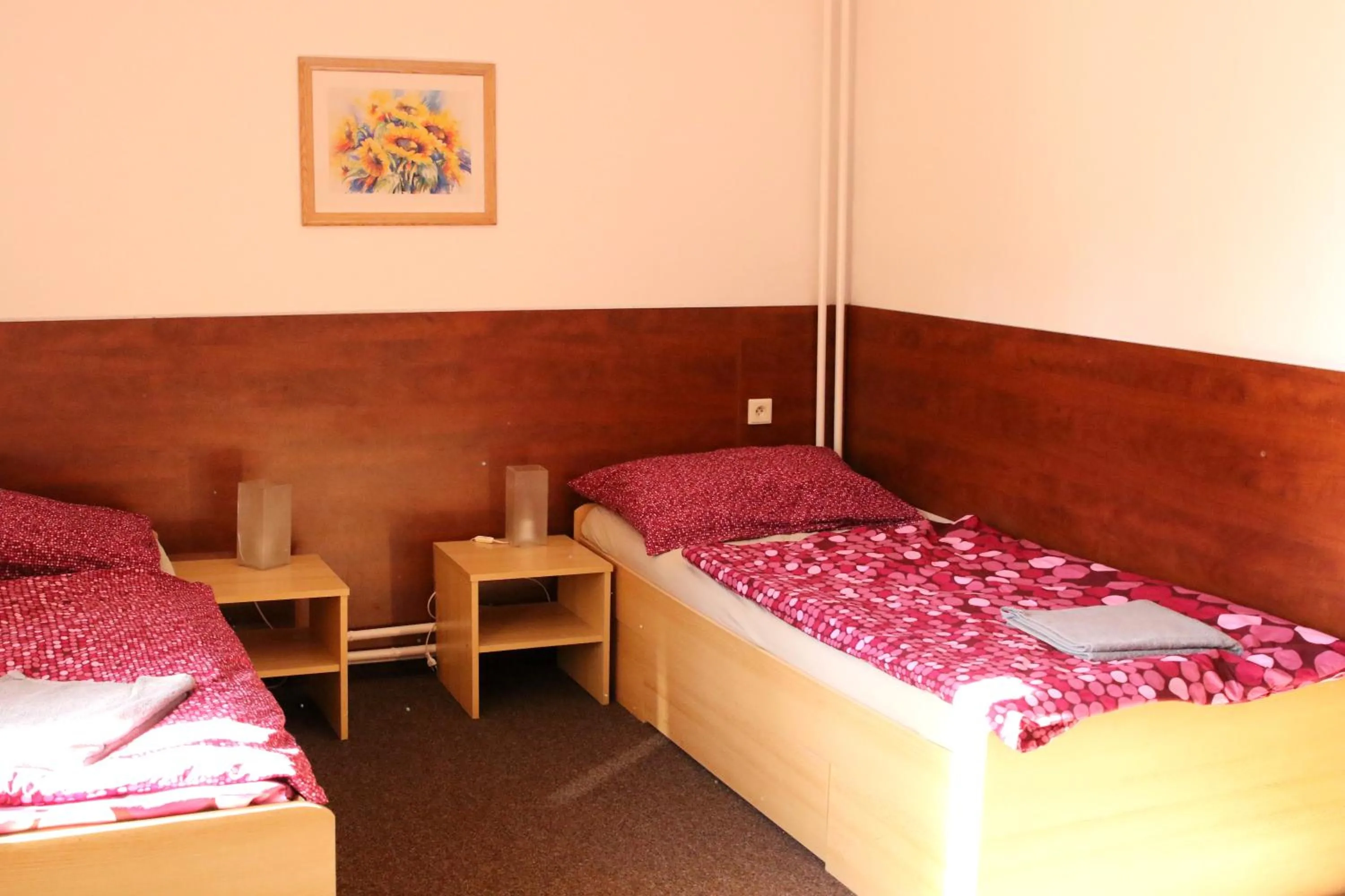 Bed in Penzion Vulture Havířov