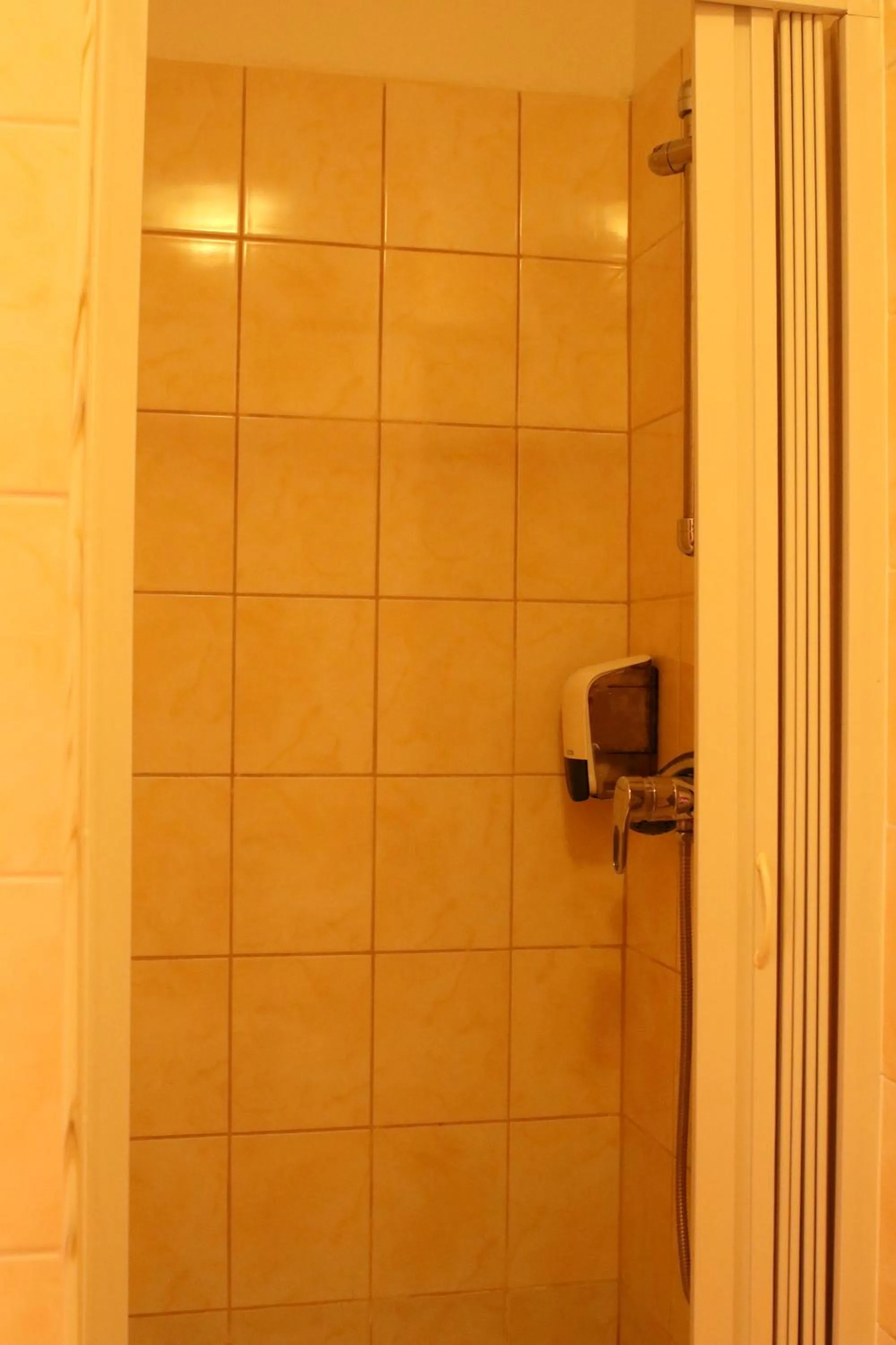 Single Room in Penzion Vulture Havířov