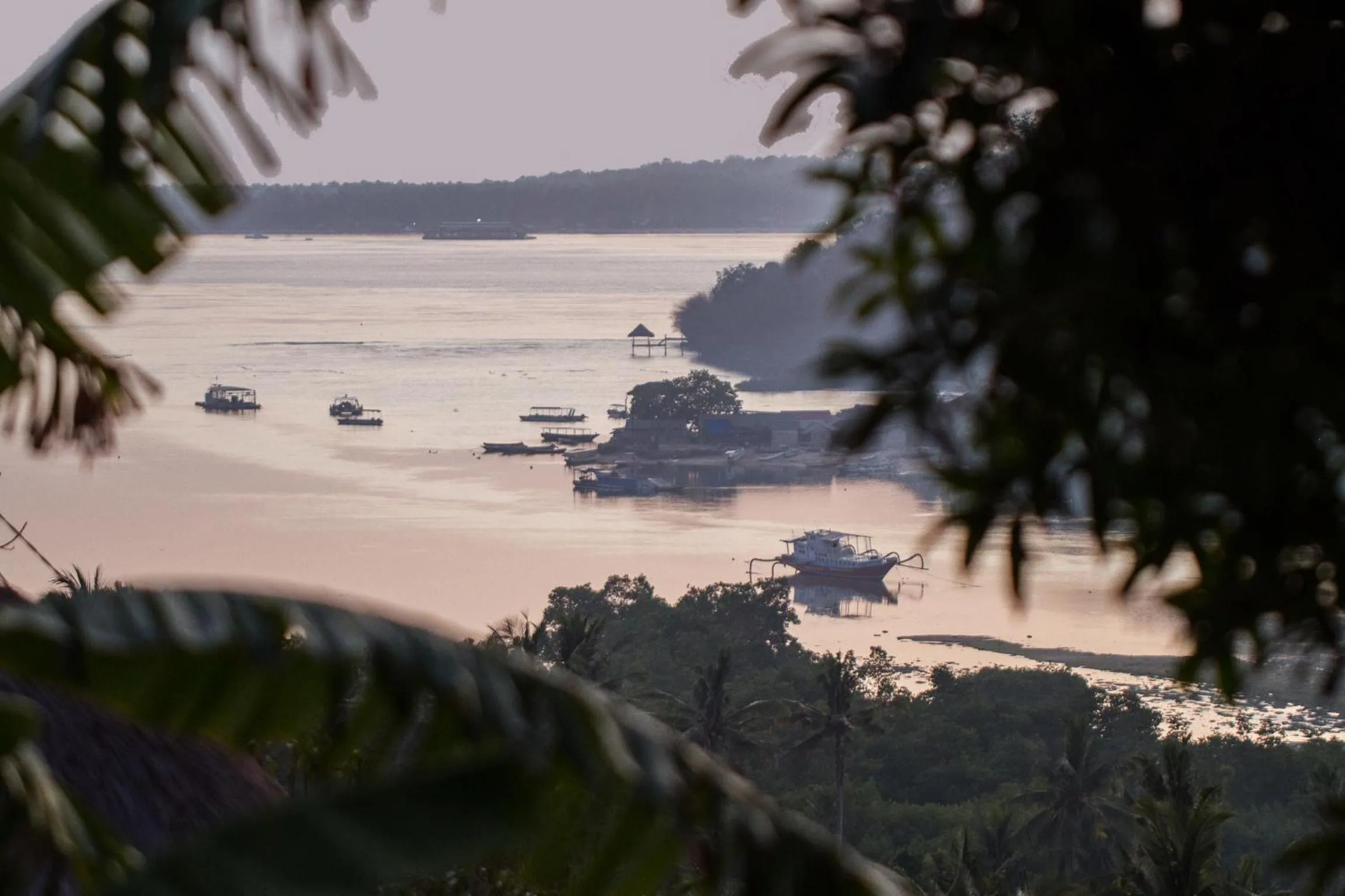 Garden view in Twin Island Villas & Dive Resort