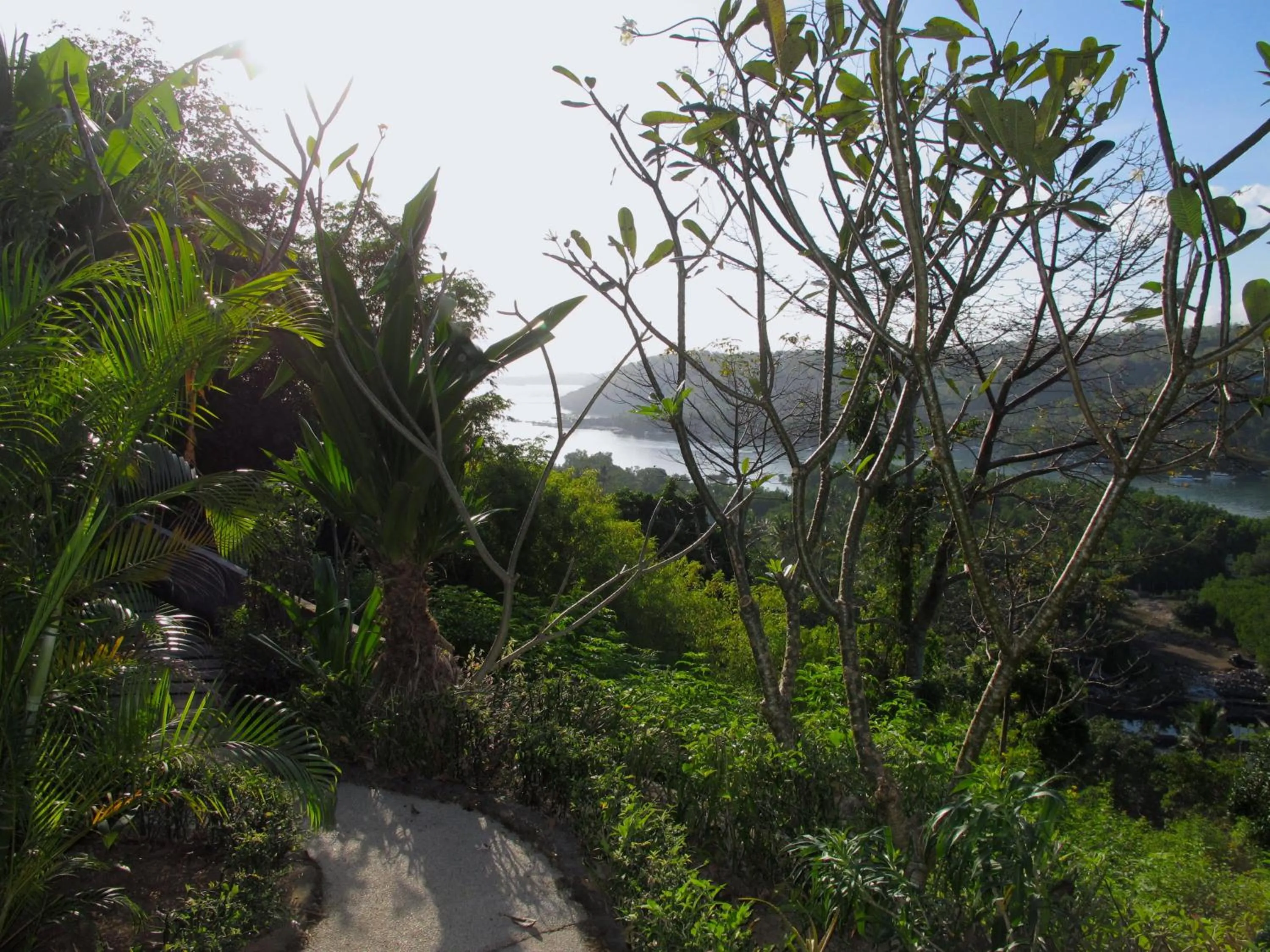 Natural landscape in Twin Island Villas & Dive Resort