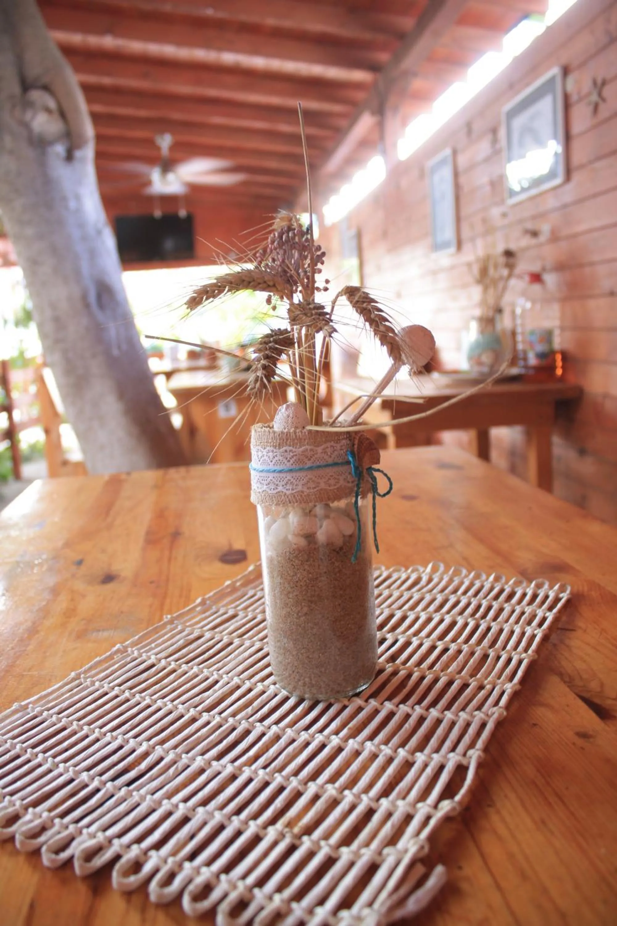 Alba Family Club Hotel