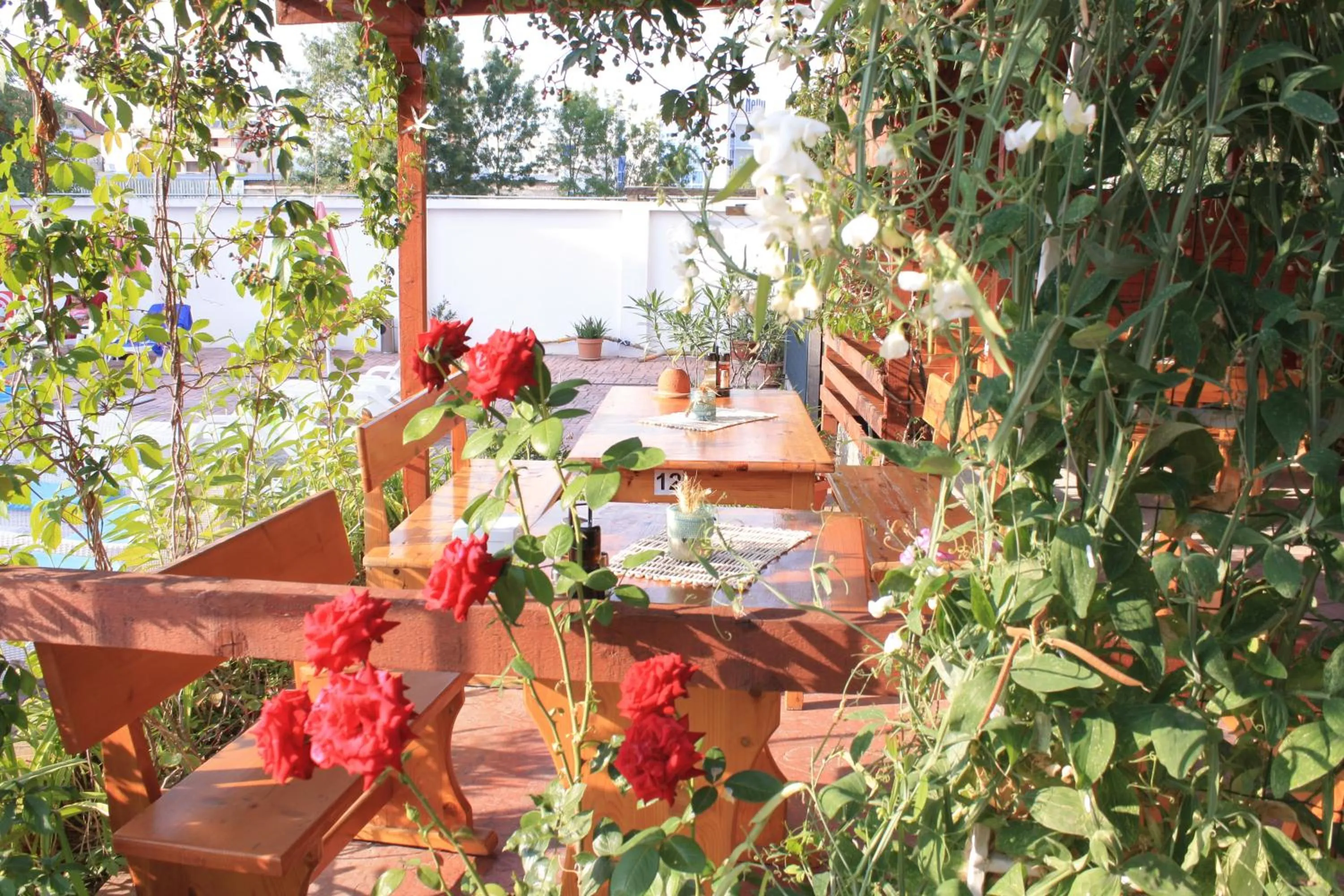 Alba Family Club Hotel